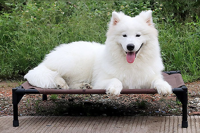 Pet bed dog moisture-proof removable washable stack dog bed Oxford cloth camp bed - LukkyDeals