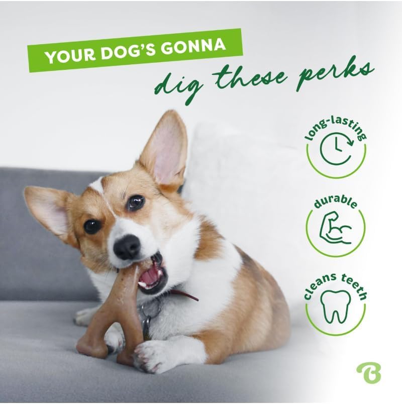 Benebone Wishbone Durable Dog Chew Toy for Aggressive Chewers, Real Bacon, Made in USA, Medium LukkyDeals