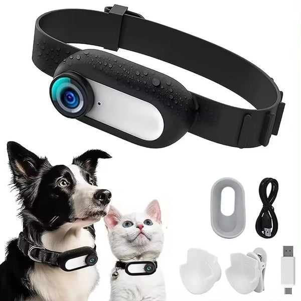 Pet Adventure Capture Collar
