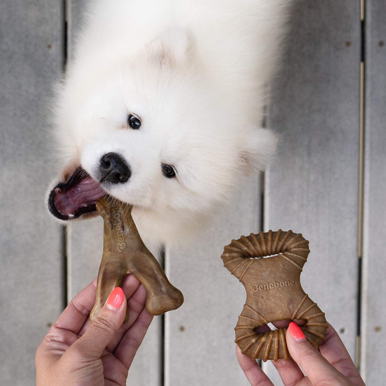 Benebone Medium 4-Pack Dog Chew Toys LukkyDeals