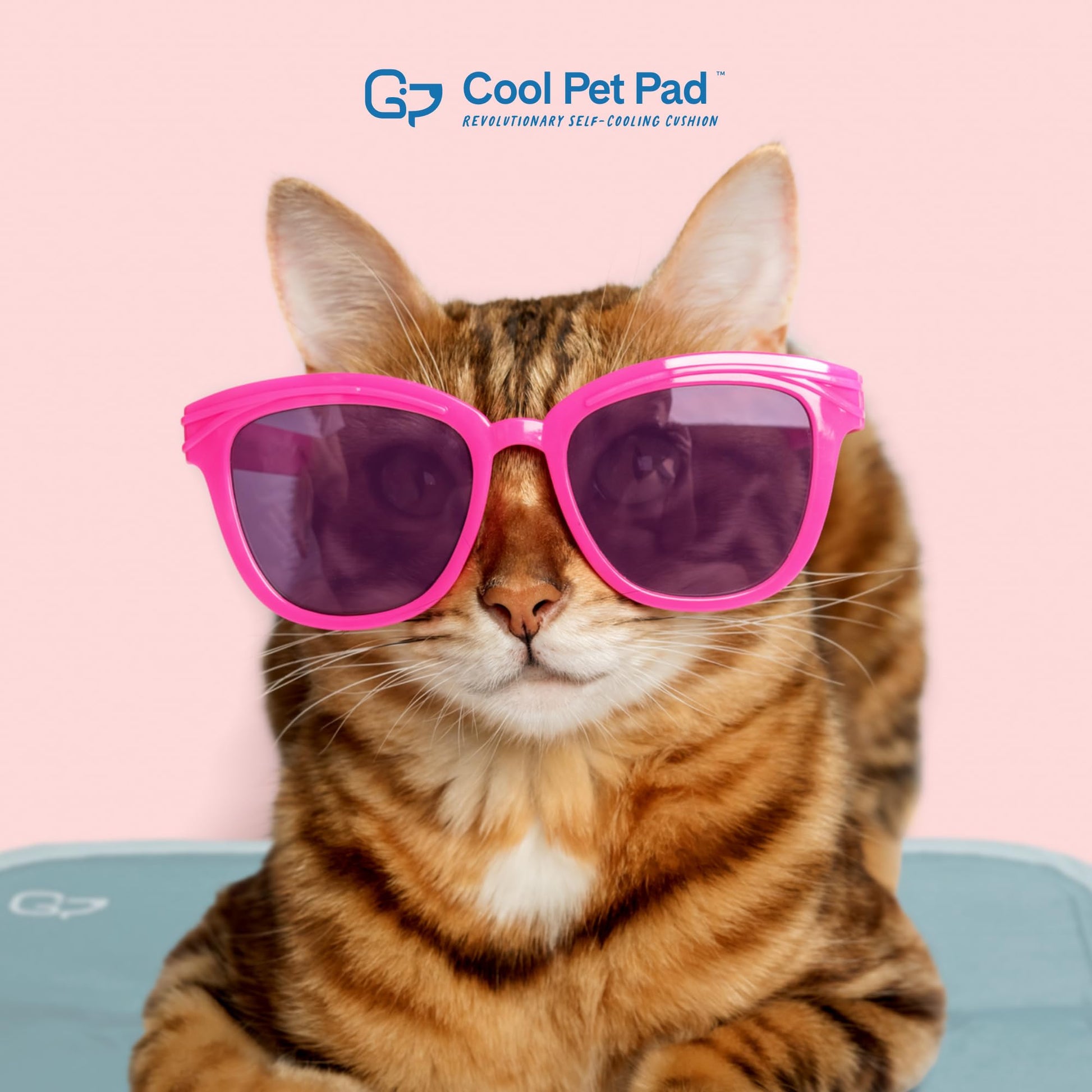 The Green Pet Shop Cool Pet Pad - Large, Sage Grey - Self-Cooling, Pressure Activated Mat for Dogs & Cats from 46-80 lbs - Non-Toxic Gel, No Water Needed LukkyDeals