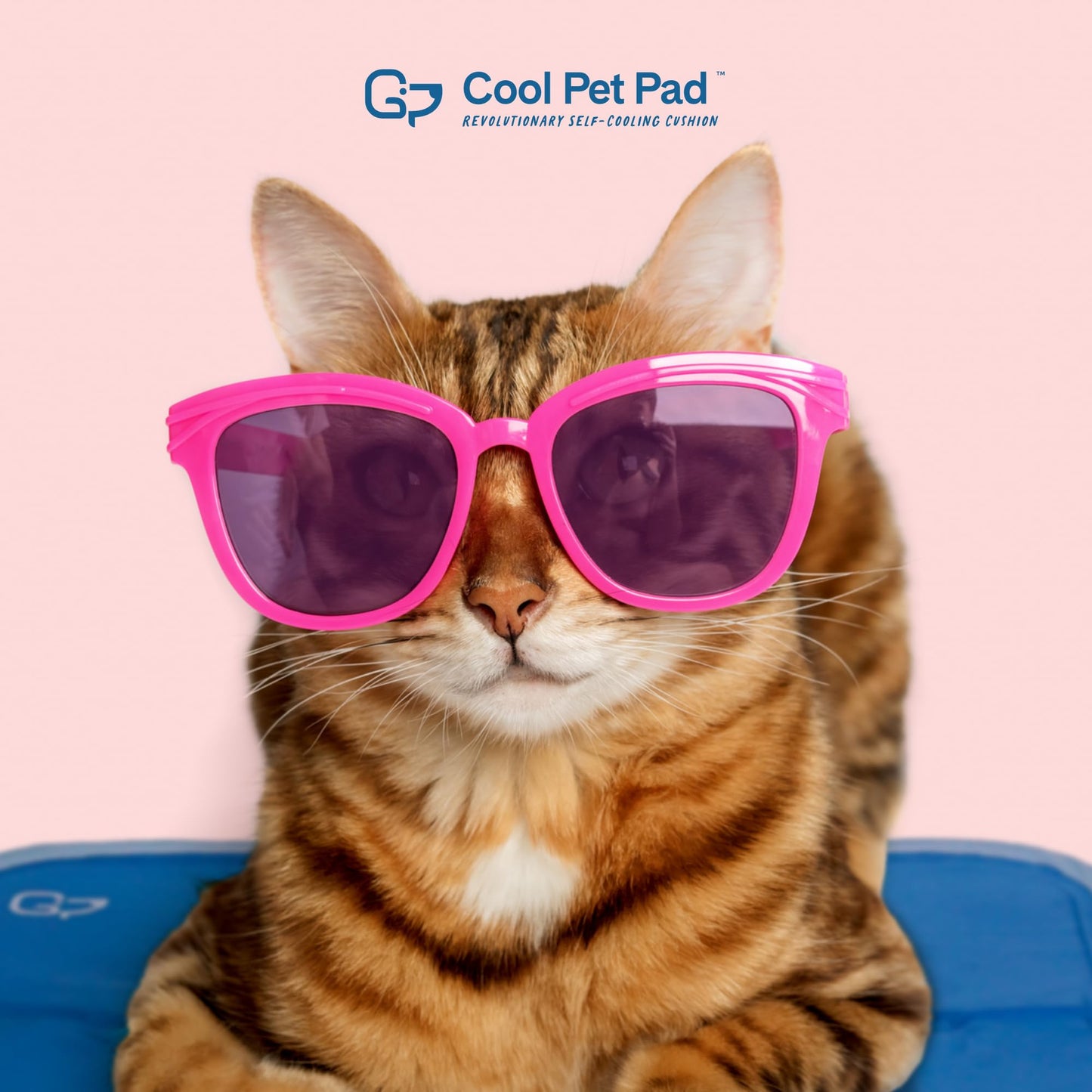 The Green Pet Shop Cool Pet Pad - Large, Sage Grey - Self-Cooling, Pressure Activated Mat for Dogs & Cats from 46-80 lbs - Non-Toxic Gel, No Water Needed LukkyDeals