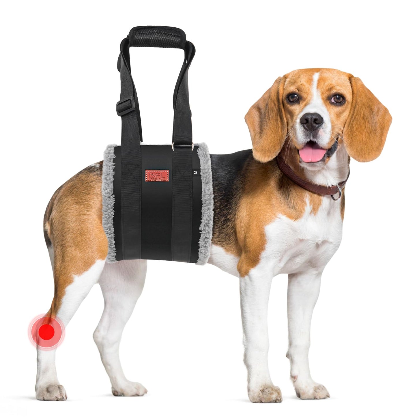 Adjustable Dog Lift Harness Dog Sling for Large Dogs Hind Leg Support Soft Lift Support and Rehab Harness for Weak Rear Legs, Helps Senior, Injured, Disabled and After ACL Surgery Dogs Large LukkyDeals