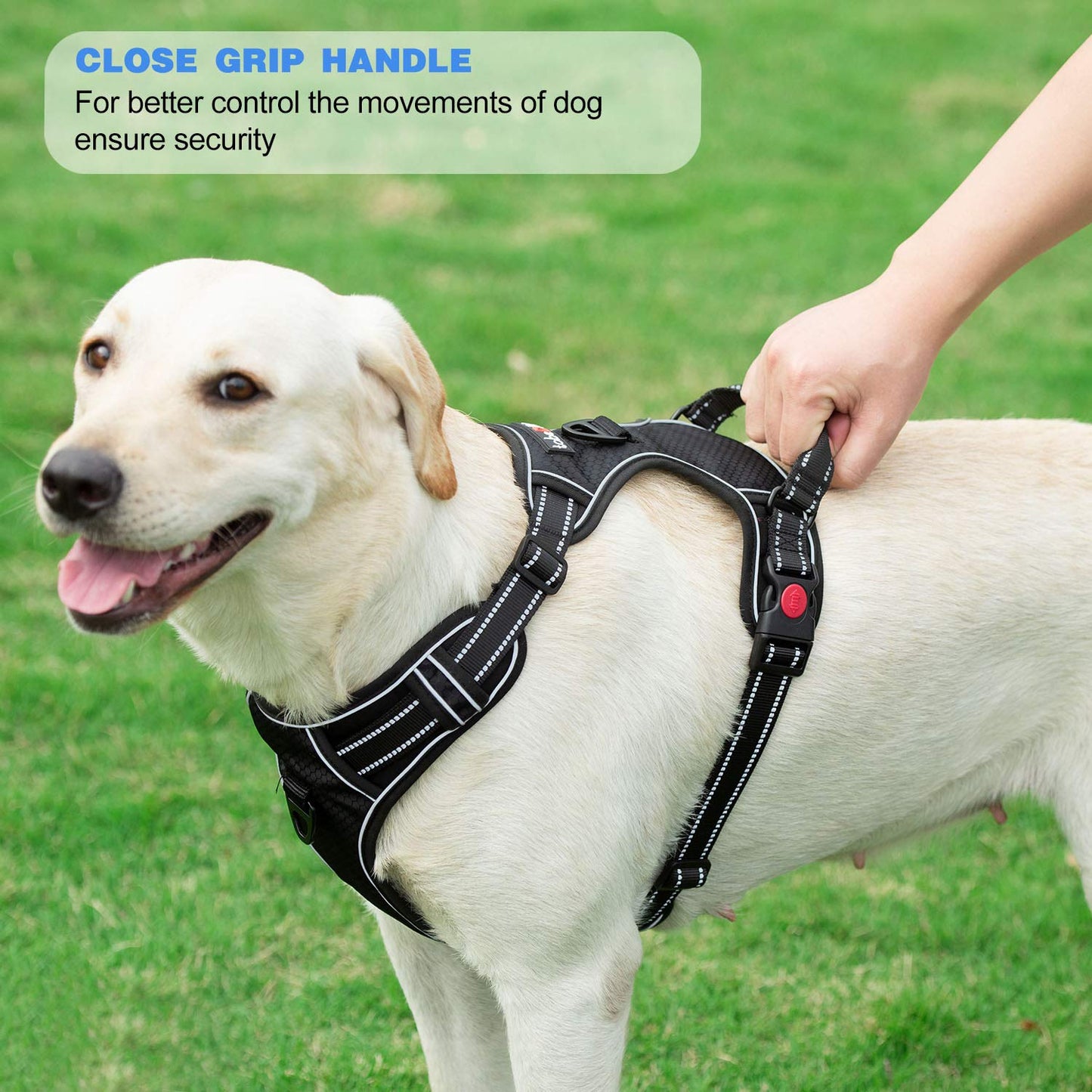 No Pull Dog Harness Adjustable Reflective Oxford Easy Control Medium Large Dog Harness with A Free Heavy Duty 5ft Dog Leash (L (Neck: 18"-25.5", Chest: 24.5"-33"), Blue Harness+Leash) LukkyDeals