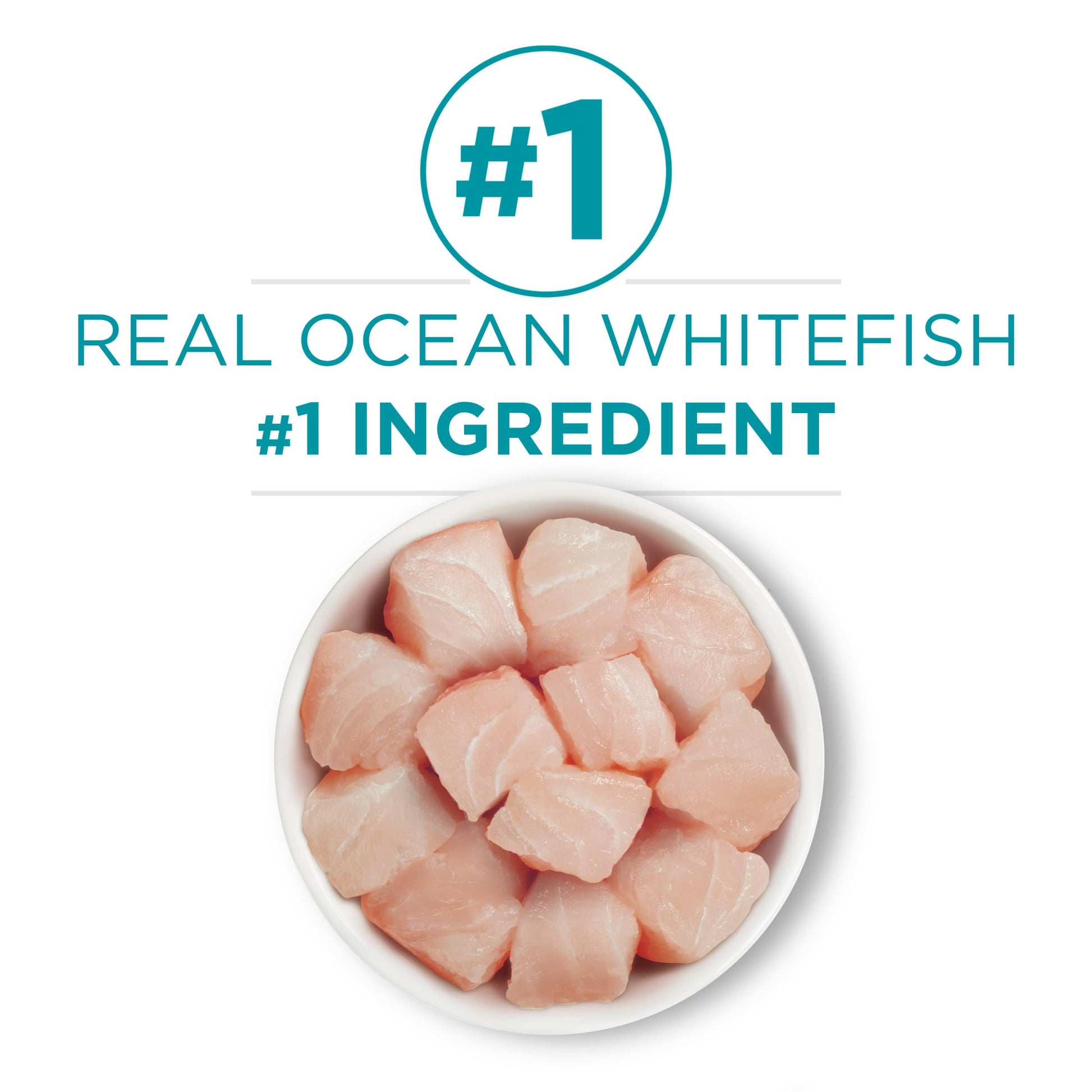 Purina ONE High Protein, Grain Free Pate Wet Cat Food Variety Pack, Grain Free Formula - (Pack of 24) 3 oz. Cans LukkyDeals