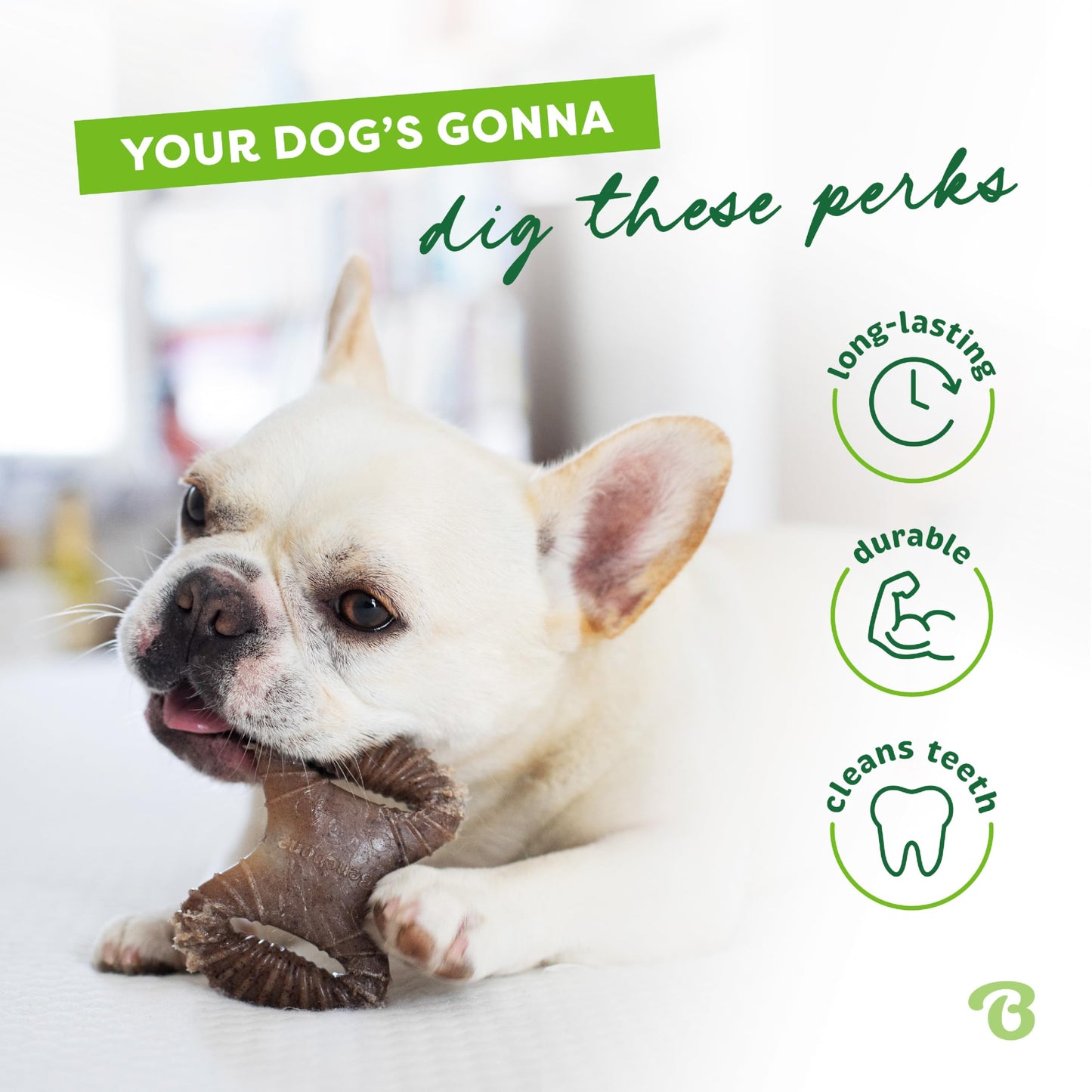 Benebone Medium 4-Pack Dog Chew Toys LukkyDeals