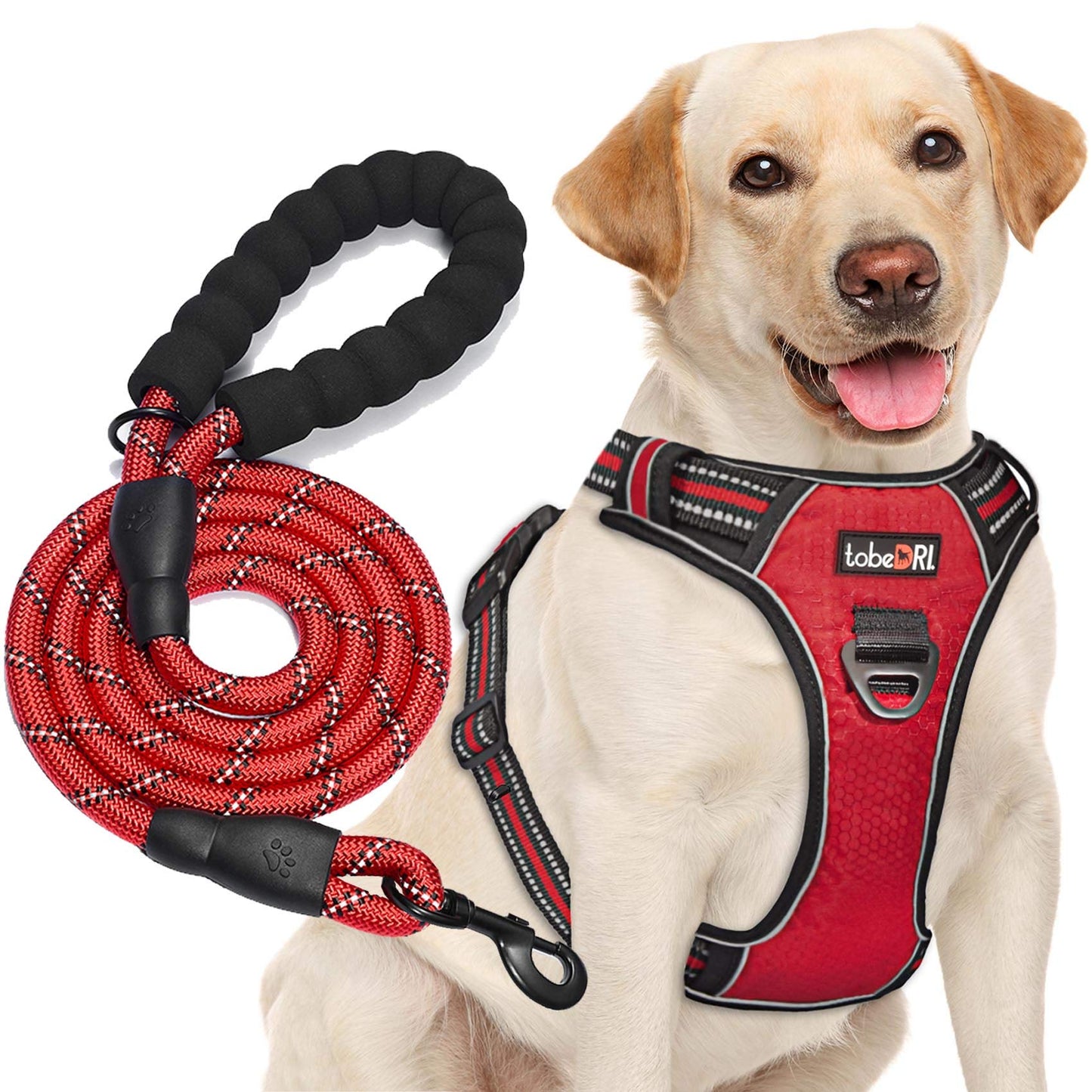 No Pull Dog Harness Adjustable Reflective Oxford Easy Control Medium Large Dog Harness with A Free Heavy Duty 5ft Dog Leash (L (Neck: 18"-25.5", Chest: 24.5"-33"), Blue Harness+Leash) LukkyDeals