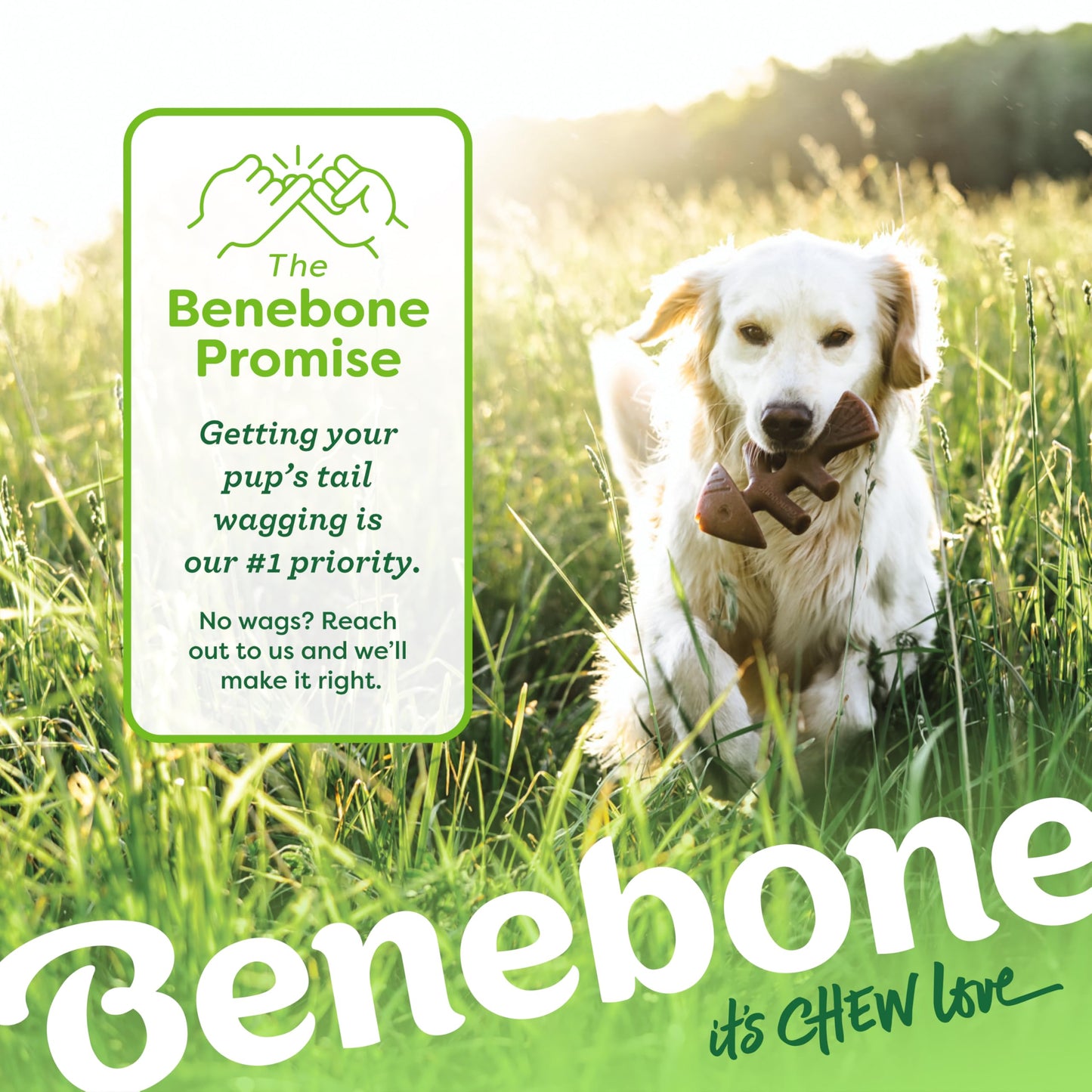 Benebone Medium 4-Pack Dog Chew Toys LukkyDeals