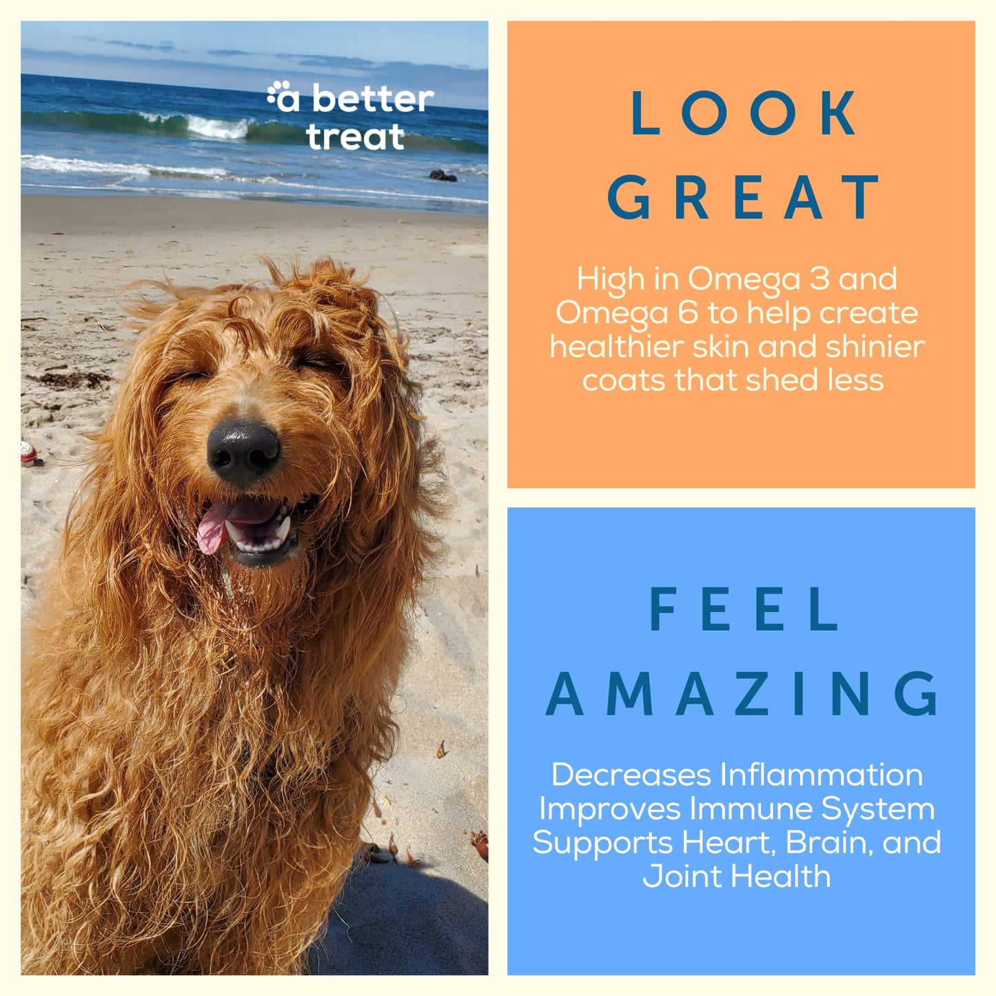 A Better Treat – Freeze Dried Salmon Dog Treats, Wild Caught, Single Ingredient | Natural High Value | Gluten Free, Grain Free, High Protein, Diabetic Friendly | Natural Fish Oil | Made in The USA LukkyDeals