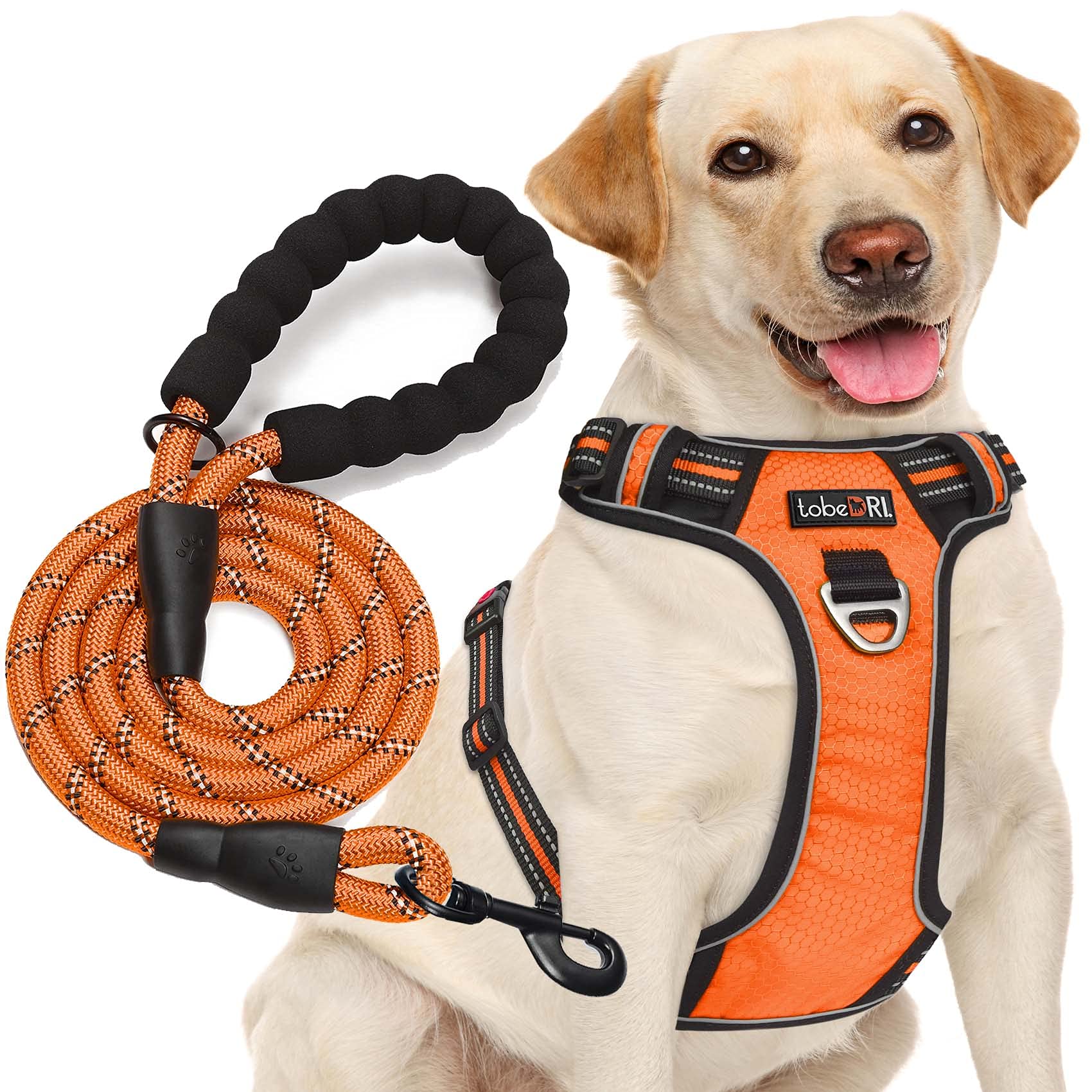 No Pull Dog Harness Adjustable Reflective Oxford Easy Control Medium Large Dog Harness with A Free Heavy Duty 5ft Dog Leash (L (Neck: 18"-25.5", Chest: 24.5"-33"), Blue Harness+Leash) LukkyDeals