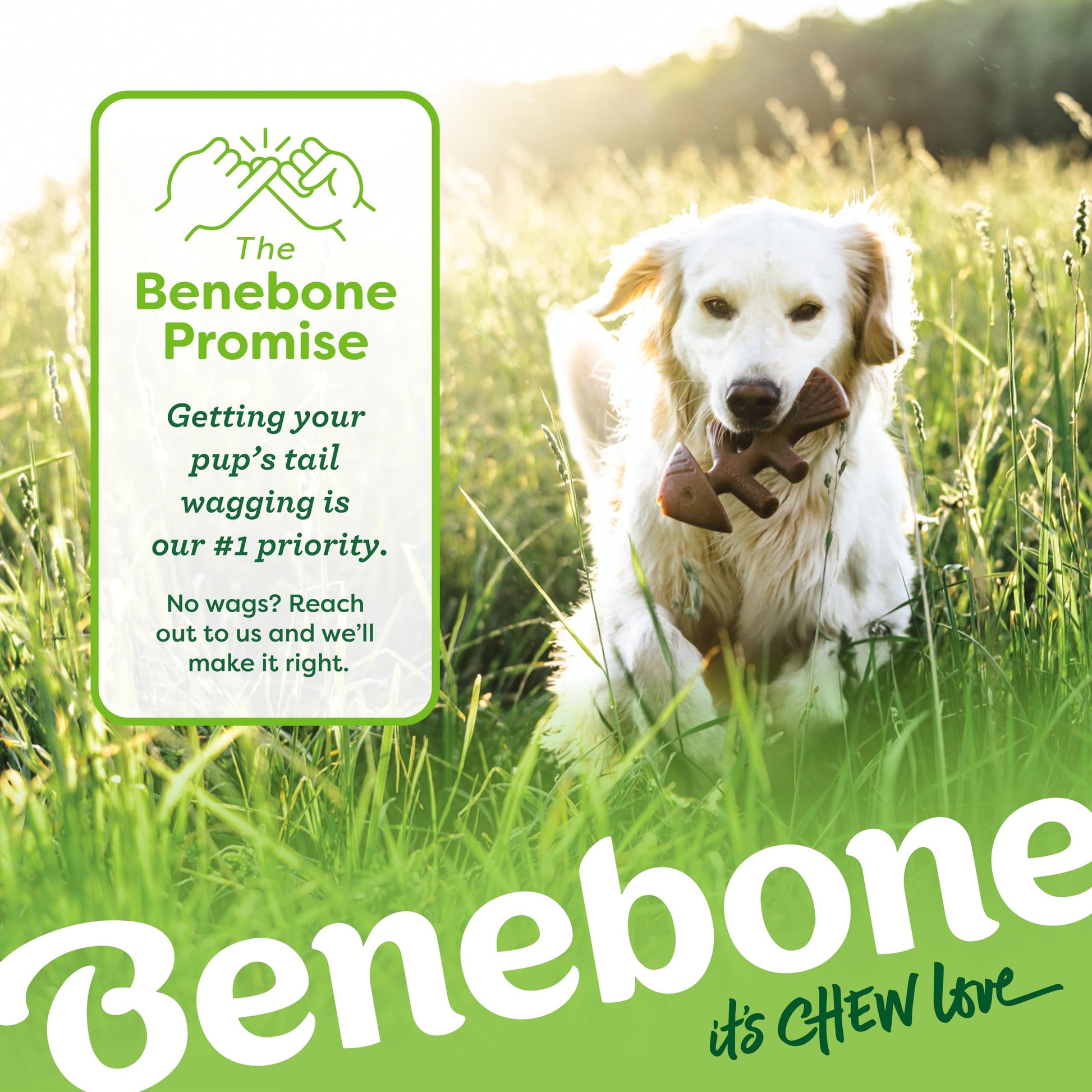 Benebone Medium 4-Pack Dog Chew Toys LukkyDeals