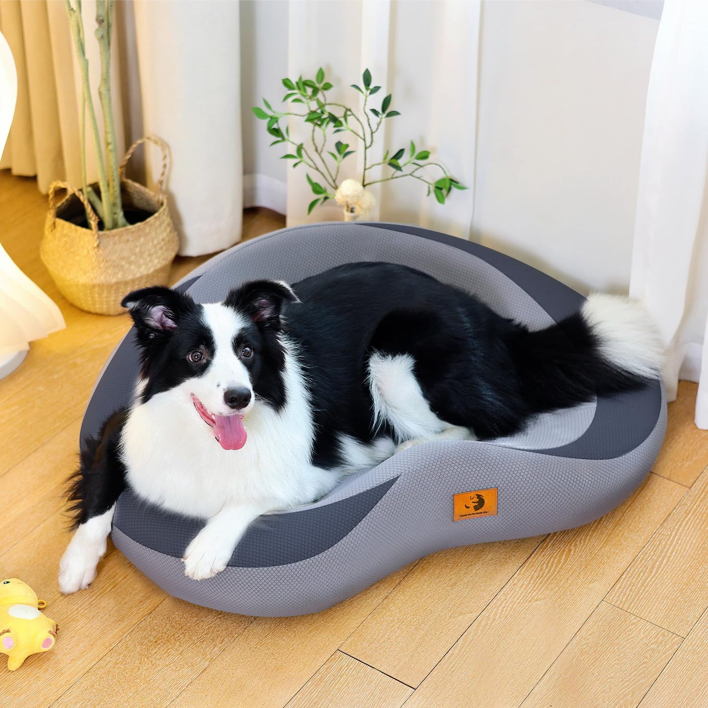 Orthopedic Dog Beds for Large/Medium Dogs, 9'' Thick Pure Memory Foam Dog Bed with Removable Washable Cover, Waterproof Couch Pet Bed, 60D High Density, Chewproof, Easy Clean, Dark Grey LukkyDeals