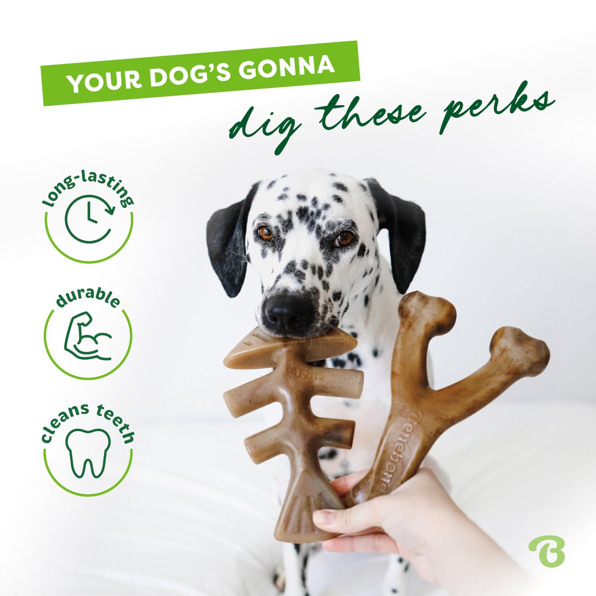 Benebone Medium 4-Pack Dog Chew Toys LukkyDeals