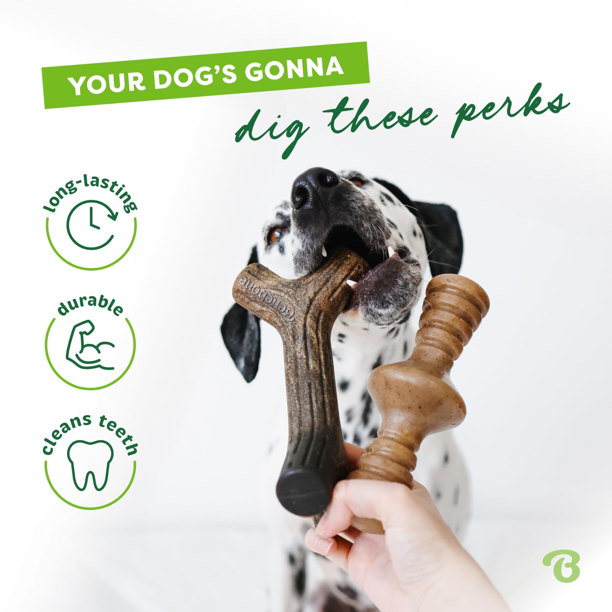 Benebone Medium 4-Pack Dog Chew Toys LukkyDeals