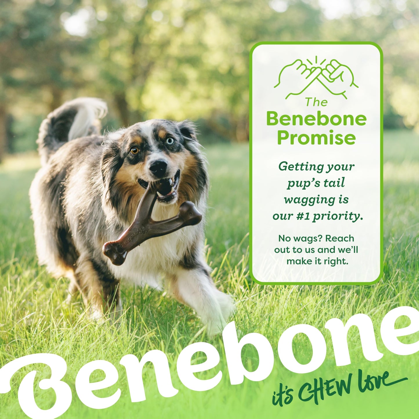 Benebone Medium 4-Pack Dog Chew Toys LukkyDeals