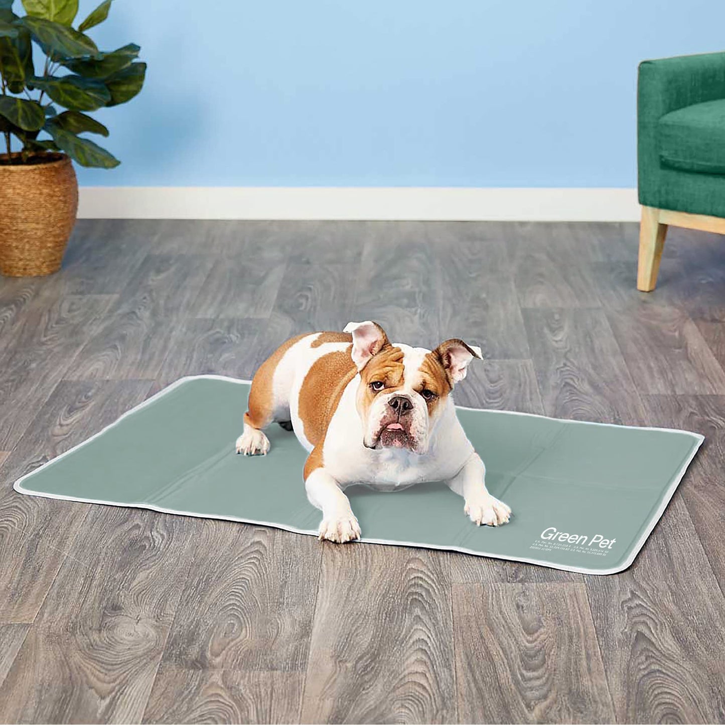The Green Pet Shop Cool Pet Pad - Large, Sage Grey - Self-Cooling, Pressure Activated Mat for Dogs & Cats from 46-80 lbs - Non-Toxic Gel, No Water Needed LukkyDeals
