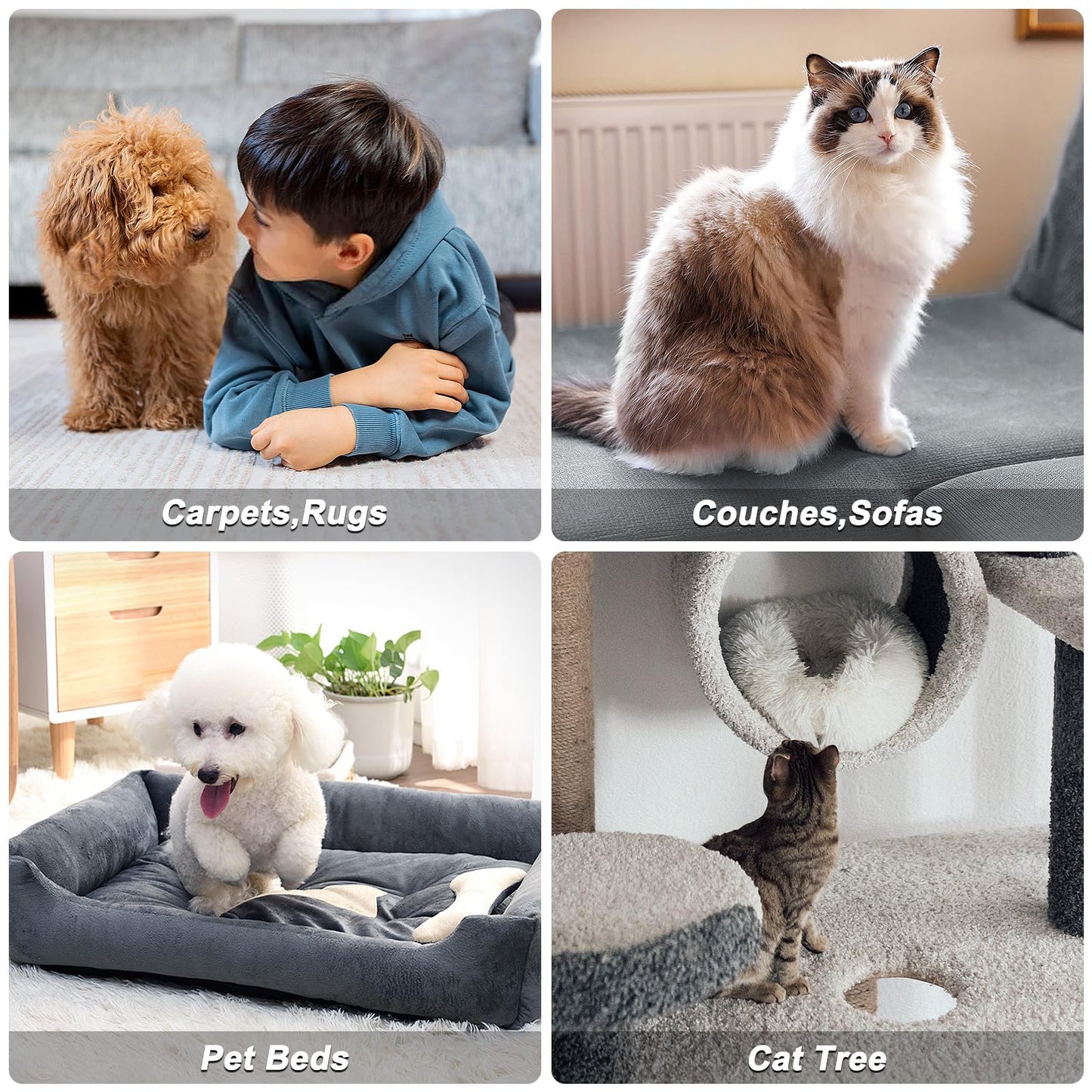 B-Land Carpet Rake for Pet Hair Removal, Reusable Pet Hair Remover with 60” Adjustable Long Handle, Carpet Scraper Dog Cat Hair Remover Tool for Rugs, Mats LukkyDeals