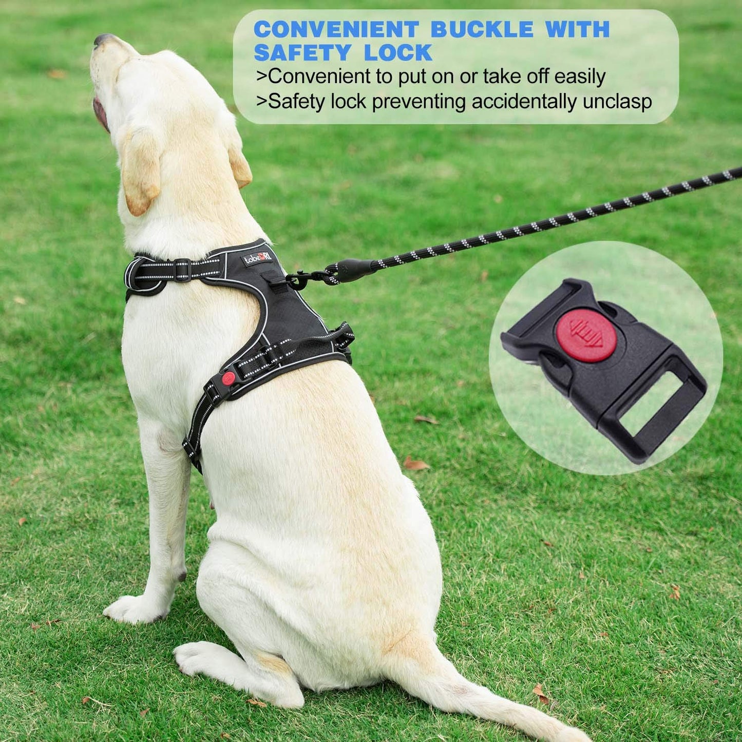 No Pull Dog Harness Adjustable Reflective Oxford Easy Control Medium Large Dog Harness with A Free Heavy Duty 5ft Dog Leash (L (Neck: 18"-25.5", Chest: 24.5"-33"), Blue Harness+Leash) LukkyDeals
