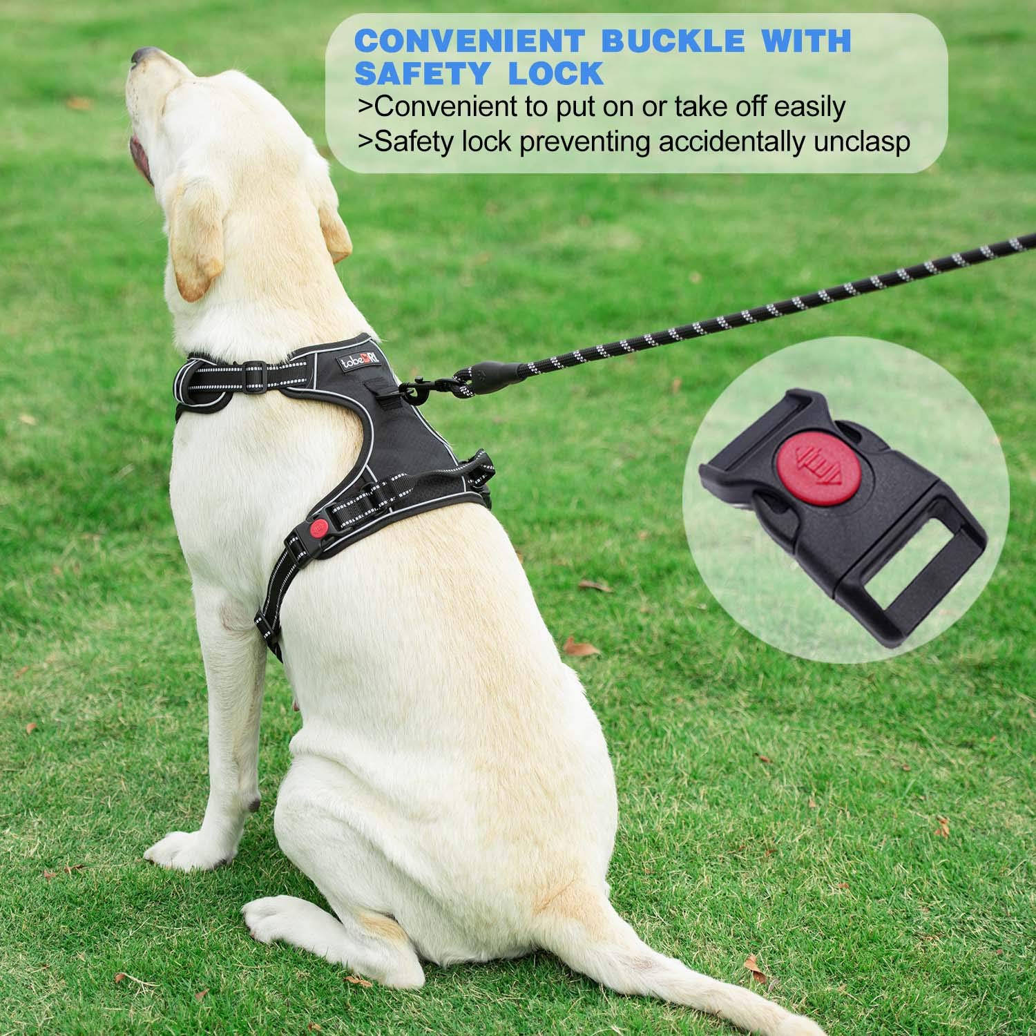 No Pull Dog Harness Adjustable Reflective Oxford Easy Control Medium Large Dog Harness with A Free Heavy Duty 5ft Dog Leash (L (Neck: 18"-25.5", Chest: 24.5"-33"), Blue Harness+Leash) LukkyDeals
