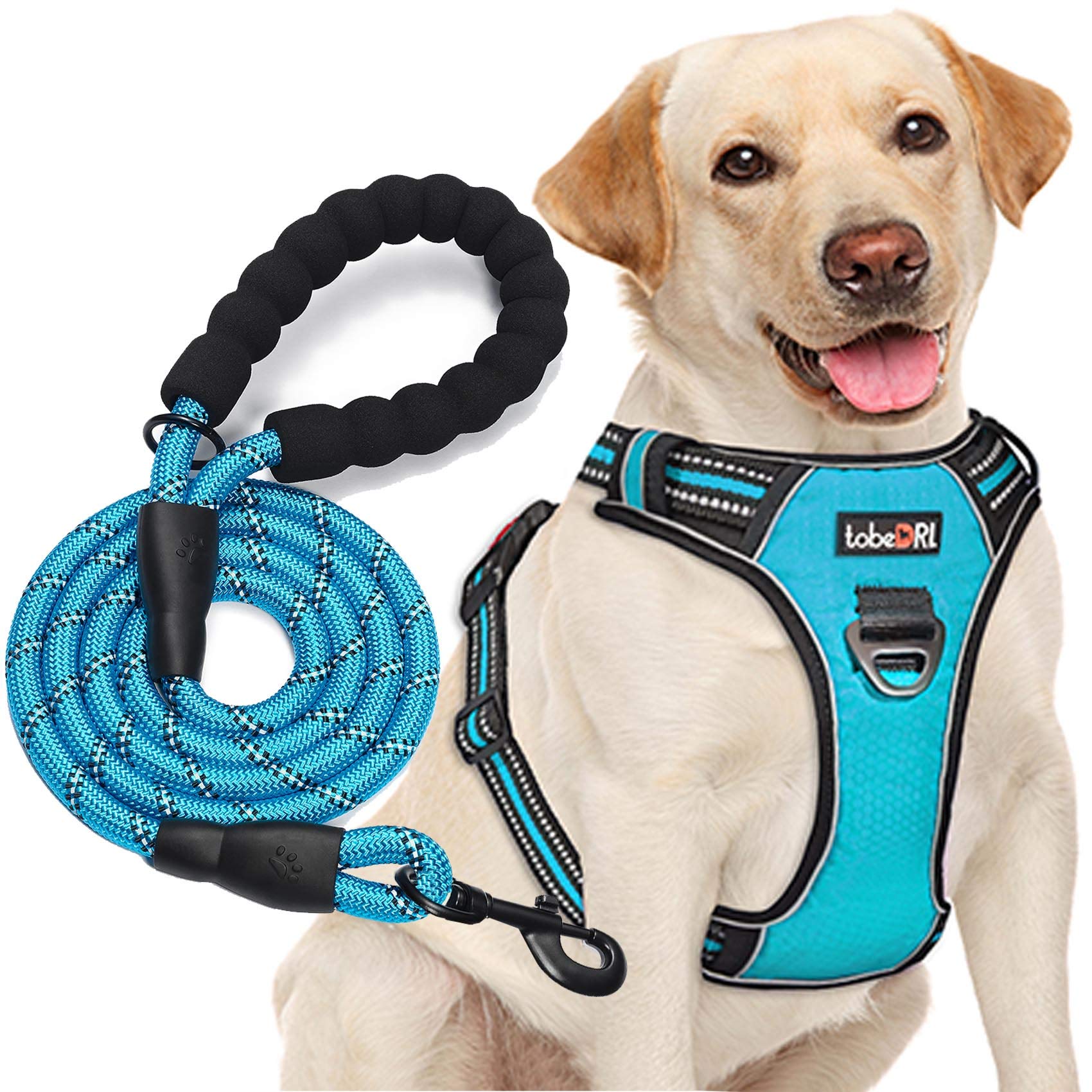 No Pull Dog Harness Adjustable Reflective Oxford Easy Control Medium Large Dog Harness with A Free Heavy Duty 5ft Dog Leash (L (Neck: 18"-25.5", Chest: 24.5"-33"), Blue Harness+Leash) LukkyDeals