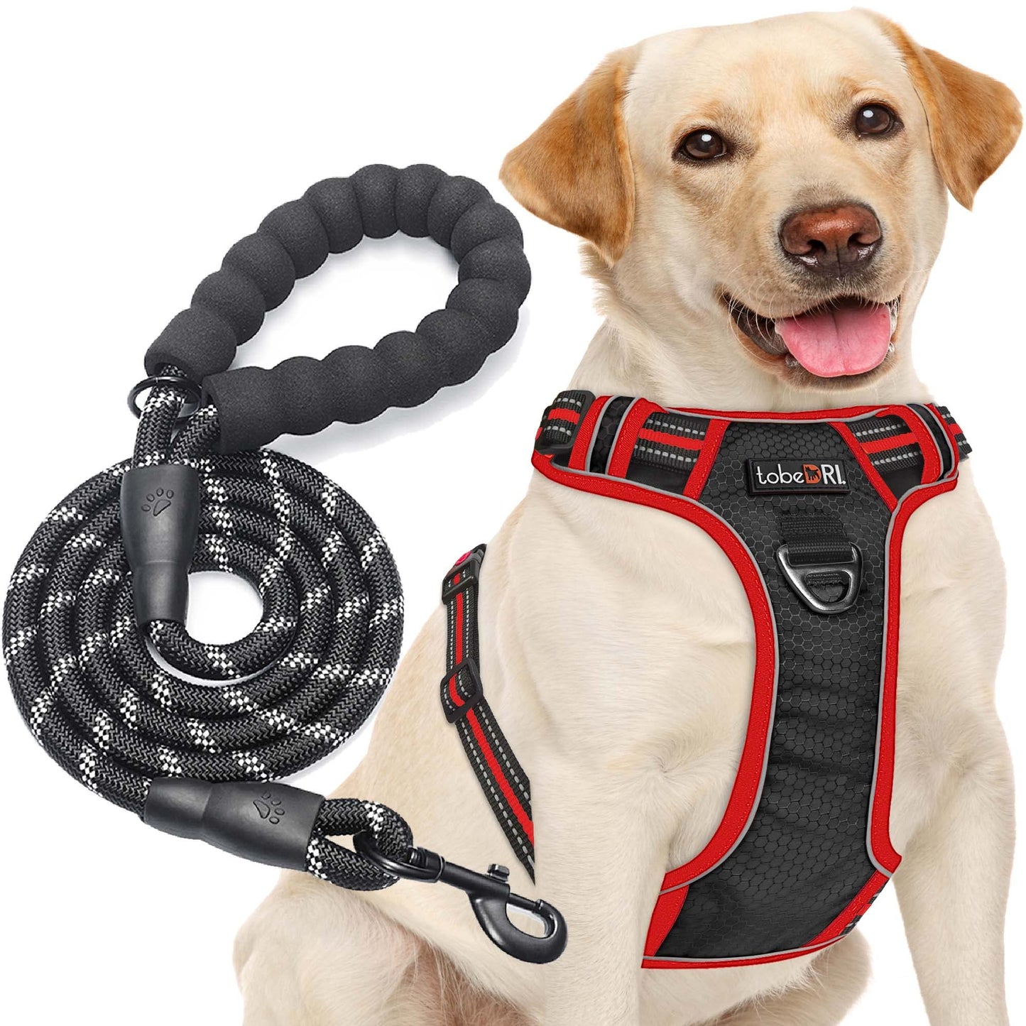 No Pull Dog Harness Adjustable Reflective Oxford Easy Control Medium Large Dog Harness with A Free Heavy Duty 5ft Dog Leash (L (Neck: 18"-25.5", Chest: 24.5"-33"), Blue Harness+Leash) LukkyDeals