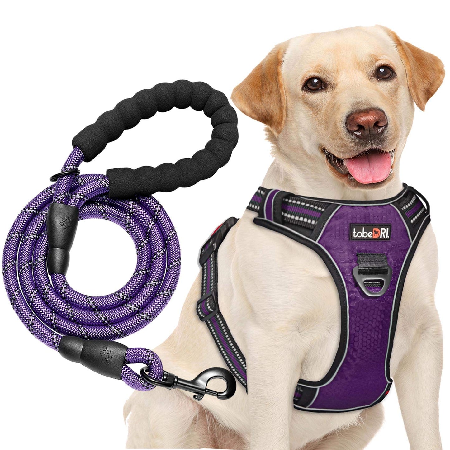 No Pull Dog Harness Adjustable Reflective Oxford Easy Control Medium Large Dog Harness with A Free Heavy Duty 5ft Dog Leash (L (Neck: 18"-25.5", Chest: 24.5"-33"), Blue Harness+Leash) LukkyDeals