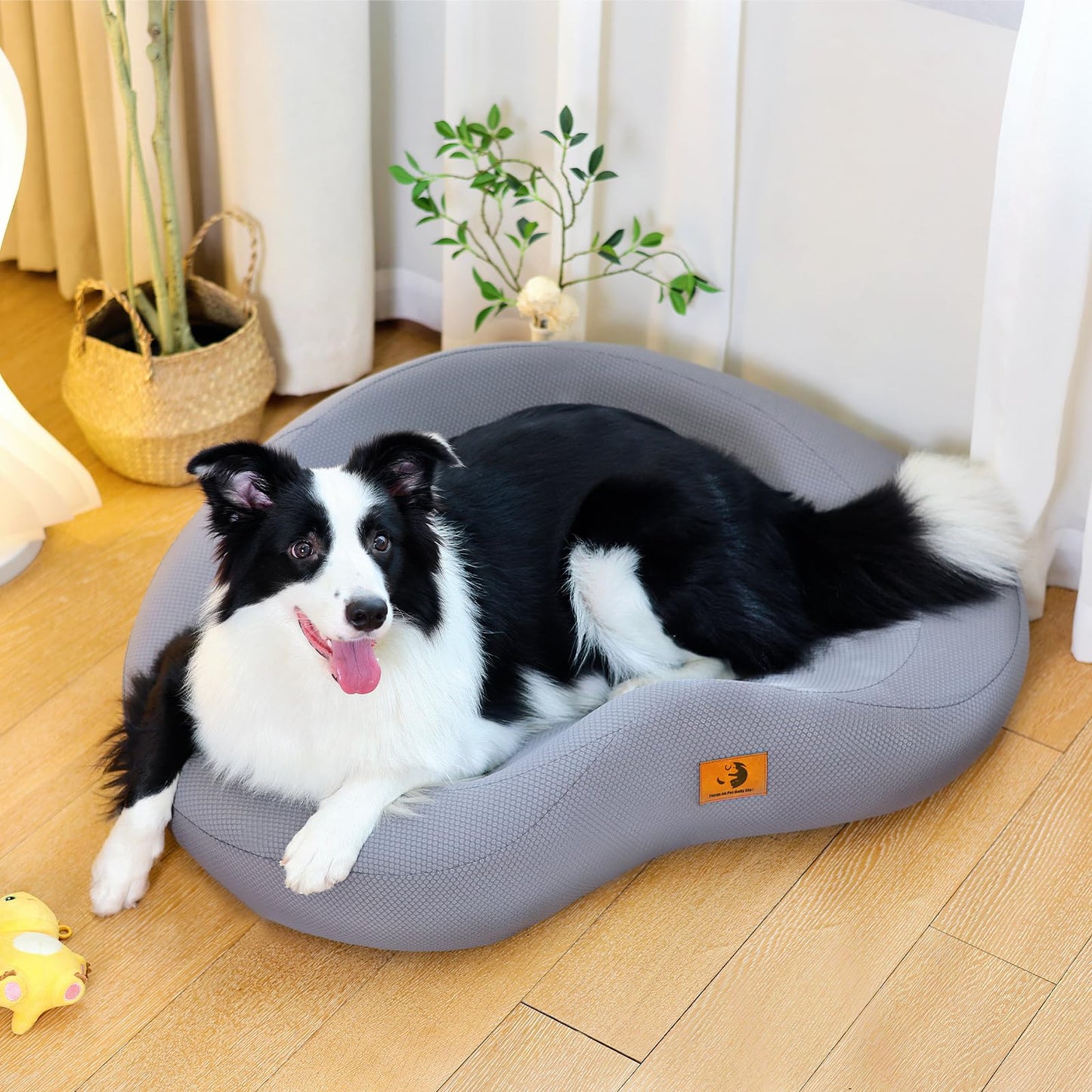 Orthopedic Dog Beds for Large/Medium Dogs, 9'' Thick Pure Memory Foam Dog Bed with Removable Washable Cover, Waterproof Couch Pet Bed, 60D High Density, Chewproof, Easy Clean, Dark Grey LukkyDeals