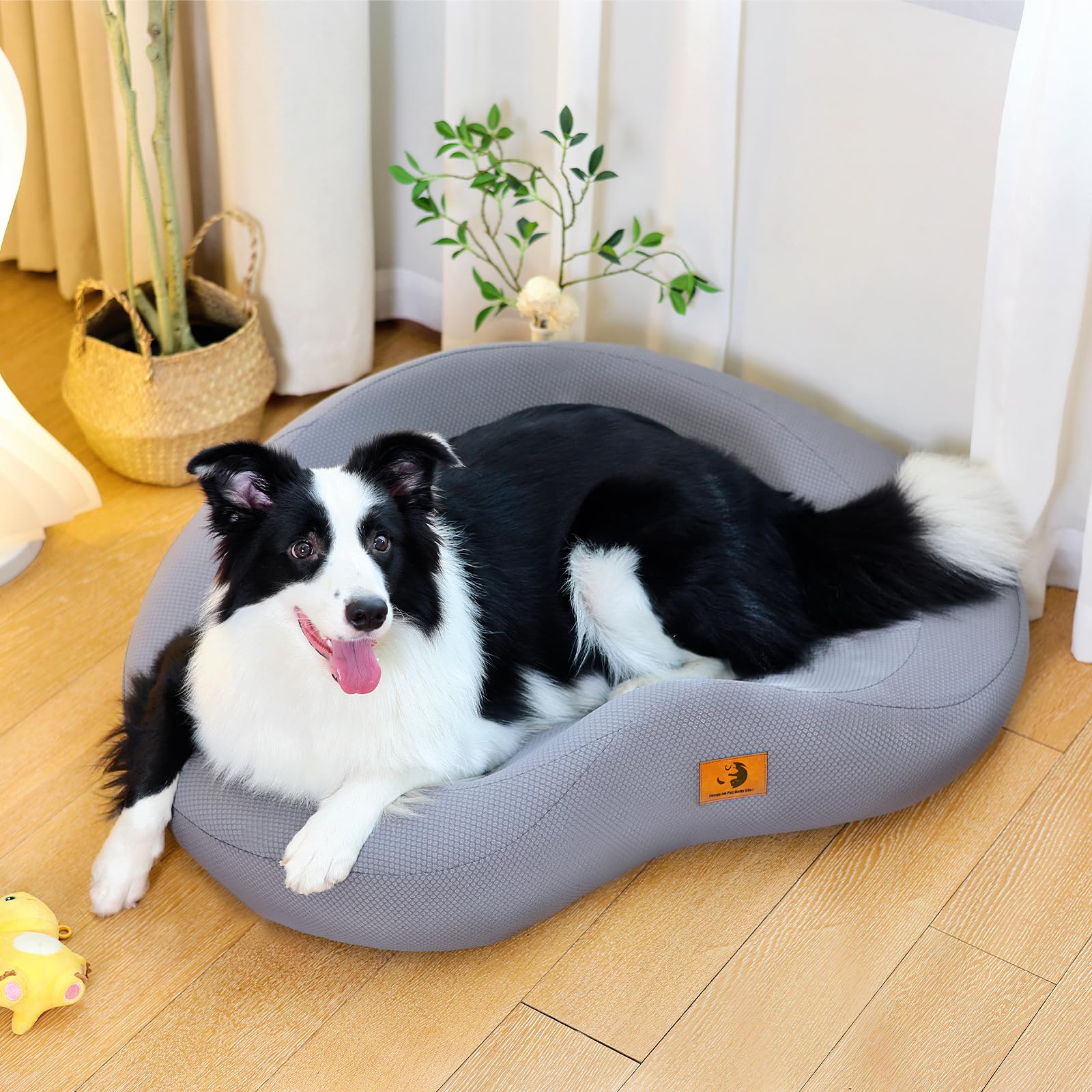 Orthopedic Dog Beds for Large/Medium Dogs, 9'' Thick Pure Memory Foam Dog Bed with Removable Washable Cover, Waterproof Couch Pet Bed, 60D High Density, Chewproof, Easy Clean, Dark Grey LukkyDeals