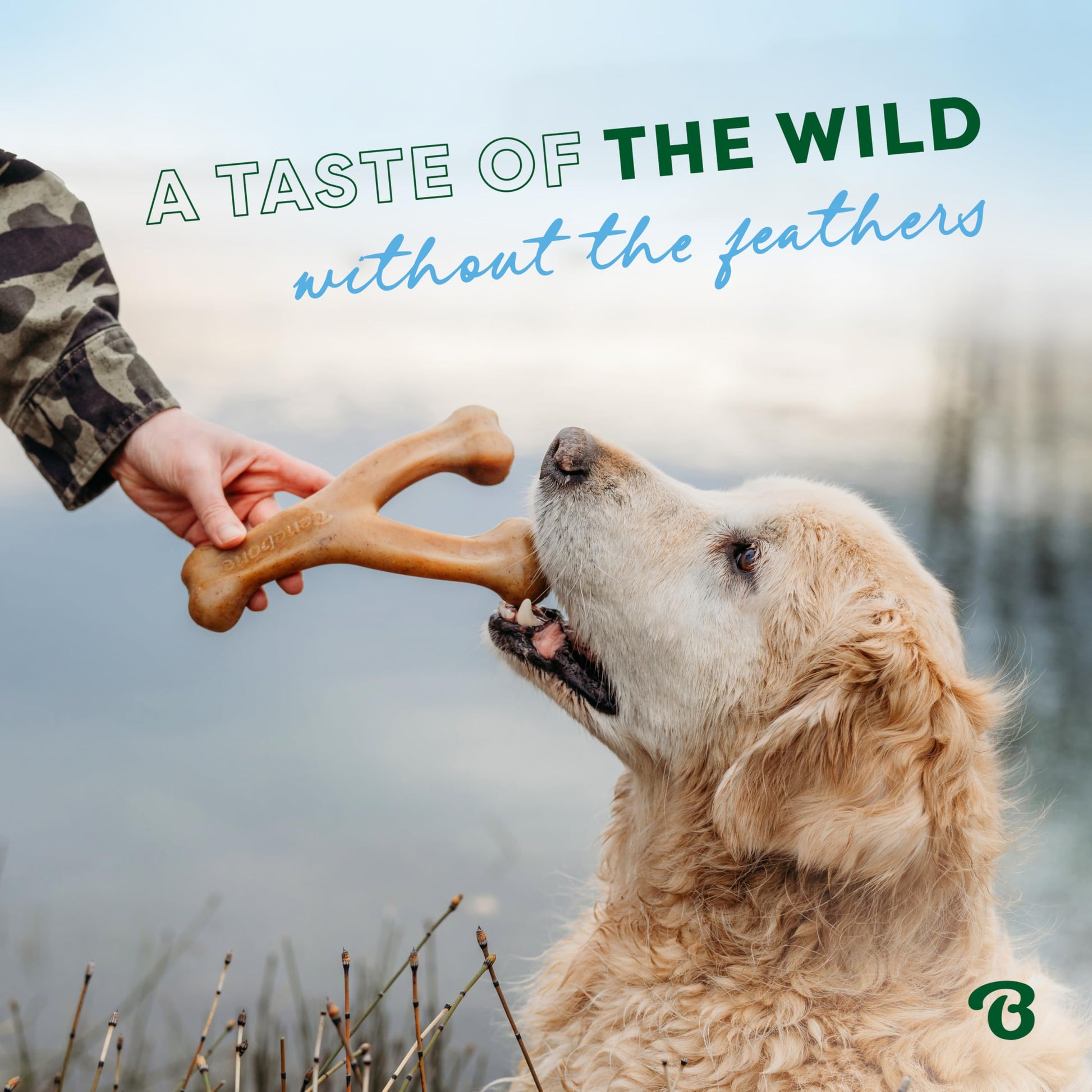 Benebone Wishbone Durable Dog Chew Toy for Aggressive Chewers, Real Bacon, Made in USA, Medium LukkyDeals