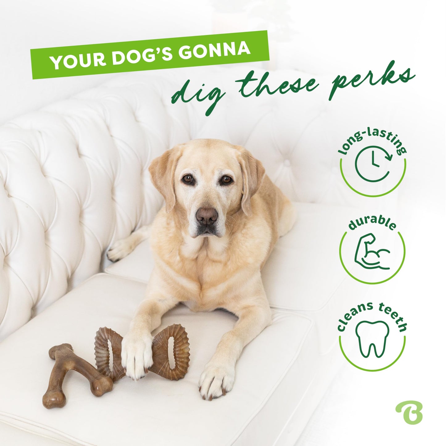 Benebone Medium 4-Pack Dog Chew Toys LukkyDeals