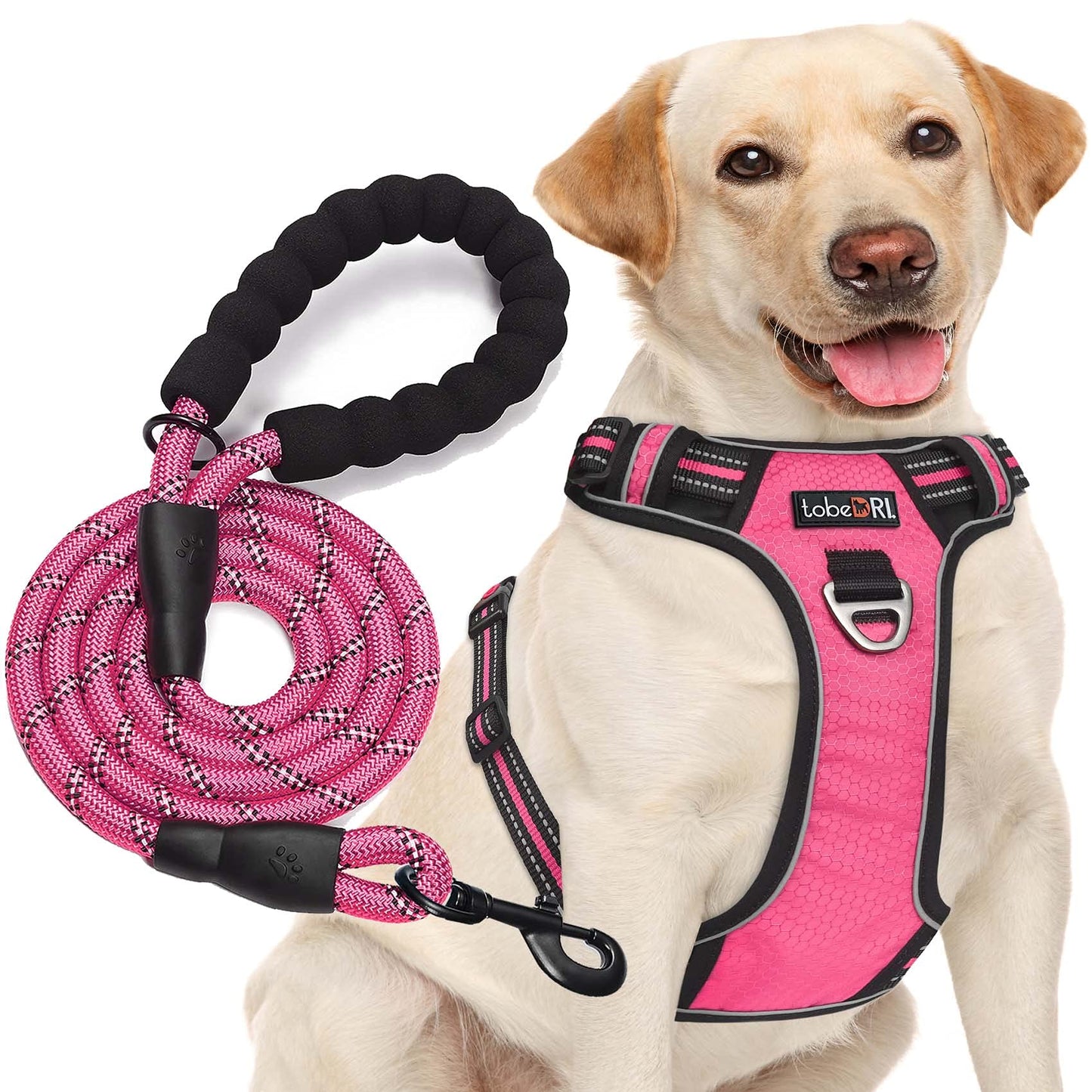 No Pull Dog Harness Adjustable Reflective Oxford Easy Control Medium Large Dog Harness with A Free Heavy Duty 5ft Dog Leash (L (Neck: 18"-25.5", Chest: 24.5"-33"), Blue Harness+Leash) LukkyDeals