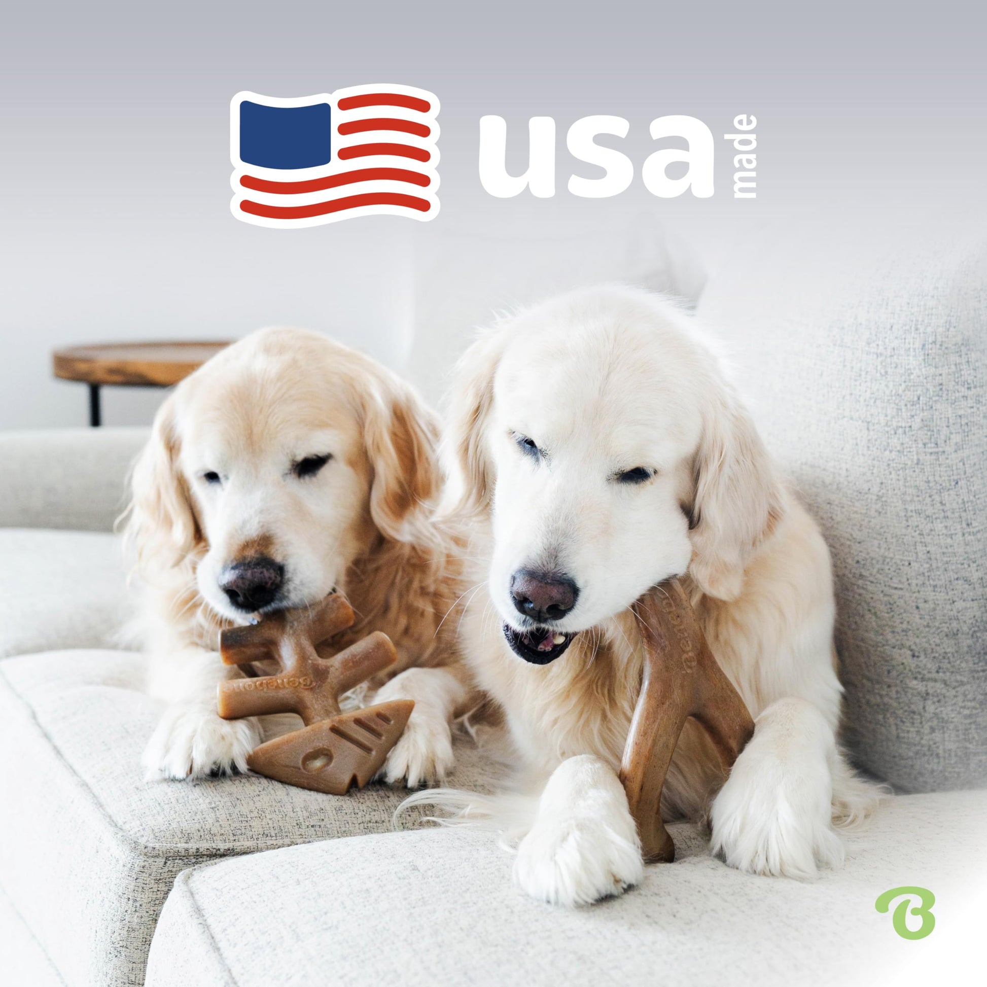 Benebone Medium 4-Pack Dog Chew Toys LukkyDeals