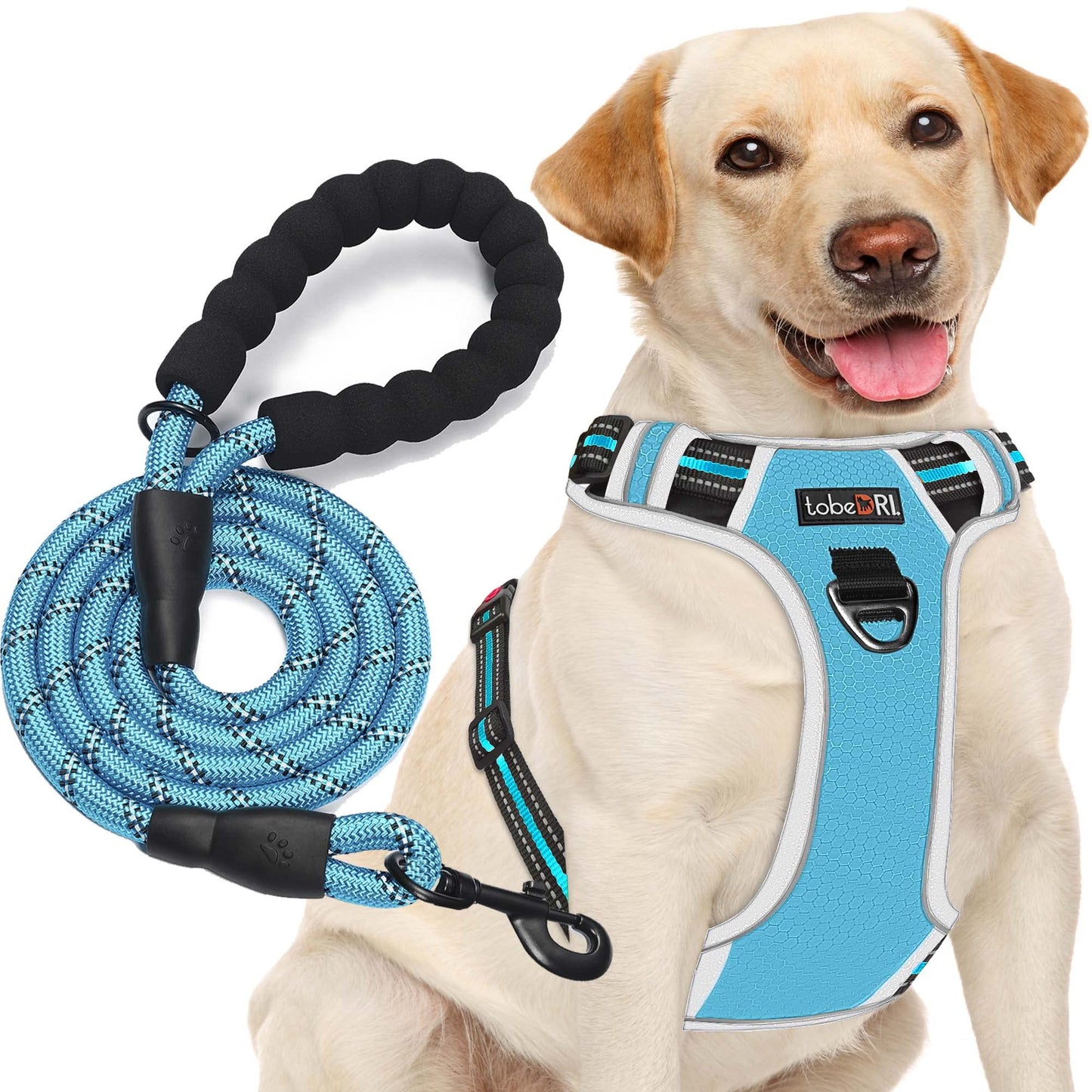 No Pull Dog Harness Adjustable Reflective Oxford Easy Control Medium Large Dog Harness with A Free Heavy Duty 5ft Dog Leash (L (Neck: 18"-25.5", Chest: 24.5"-33"), Blue Harness+Leash) LukkyDeals