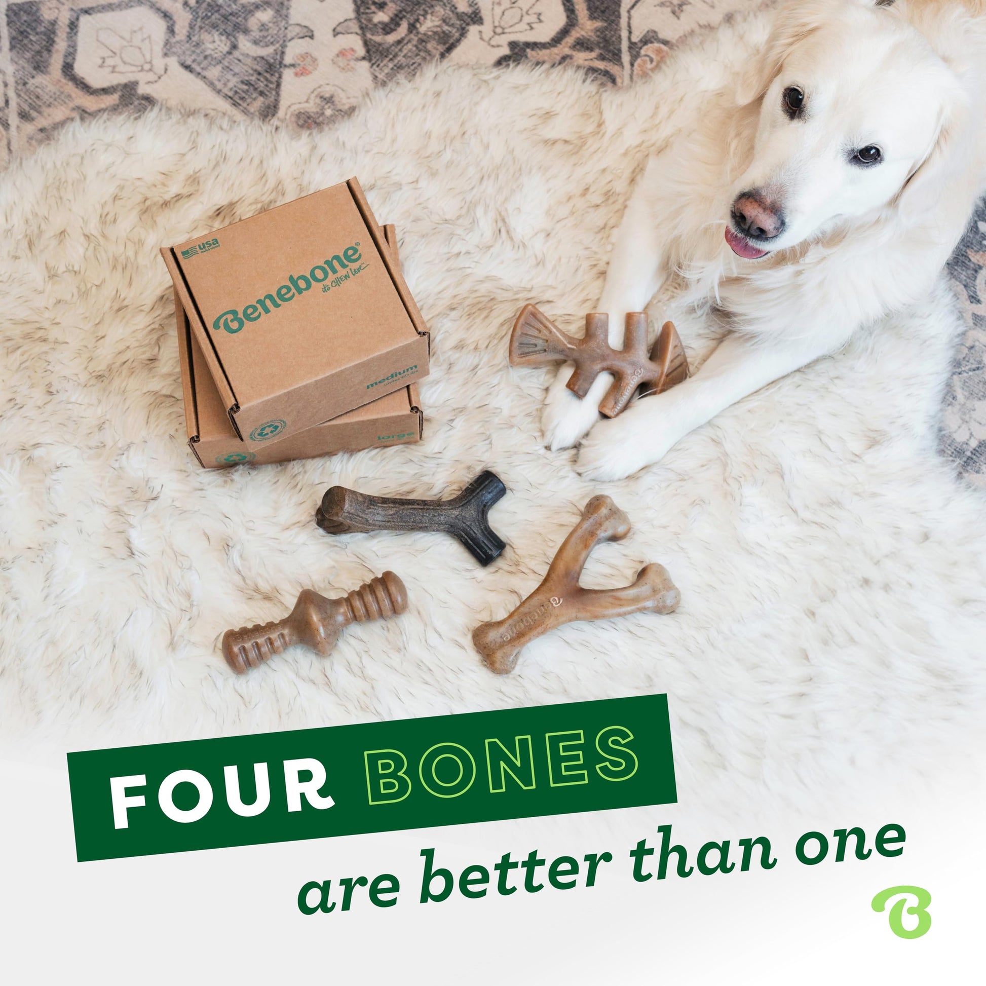 Benebone Medium 4-Pack Dog Chew Toys LukkyDeals