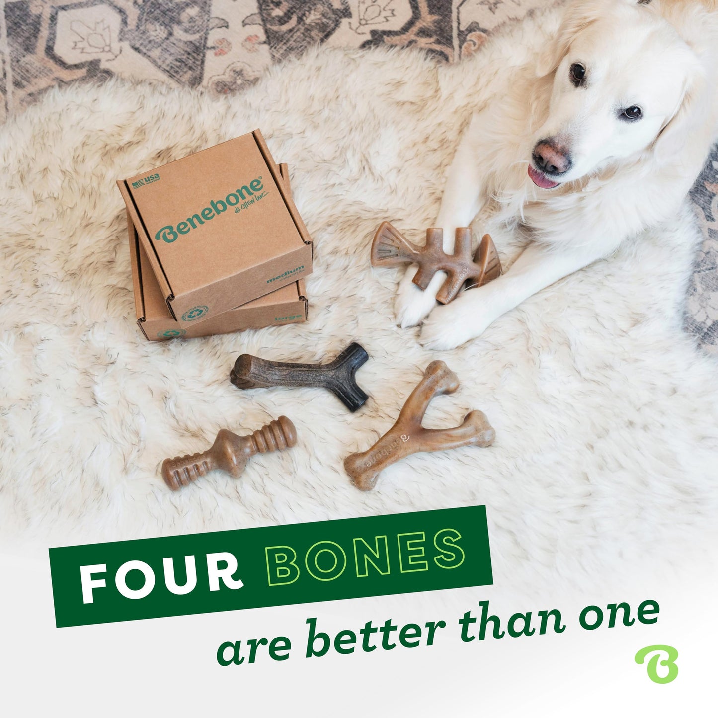 Benebone Medium 4-Pack Dog Chew Toys LukkyDeals