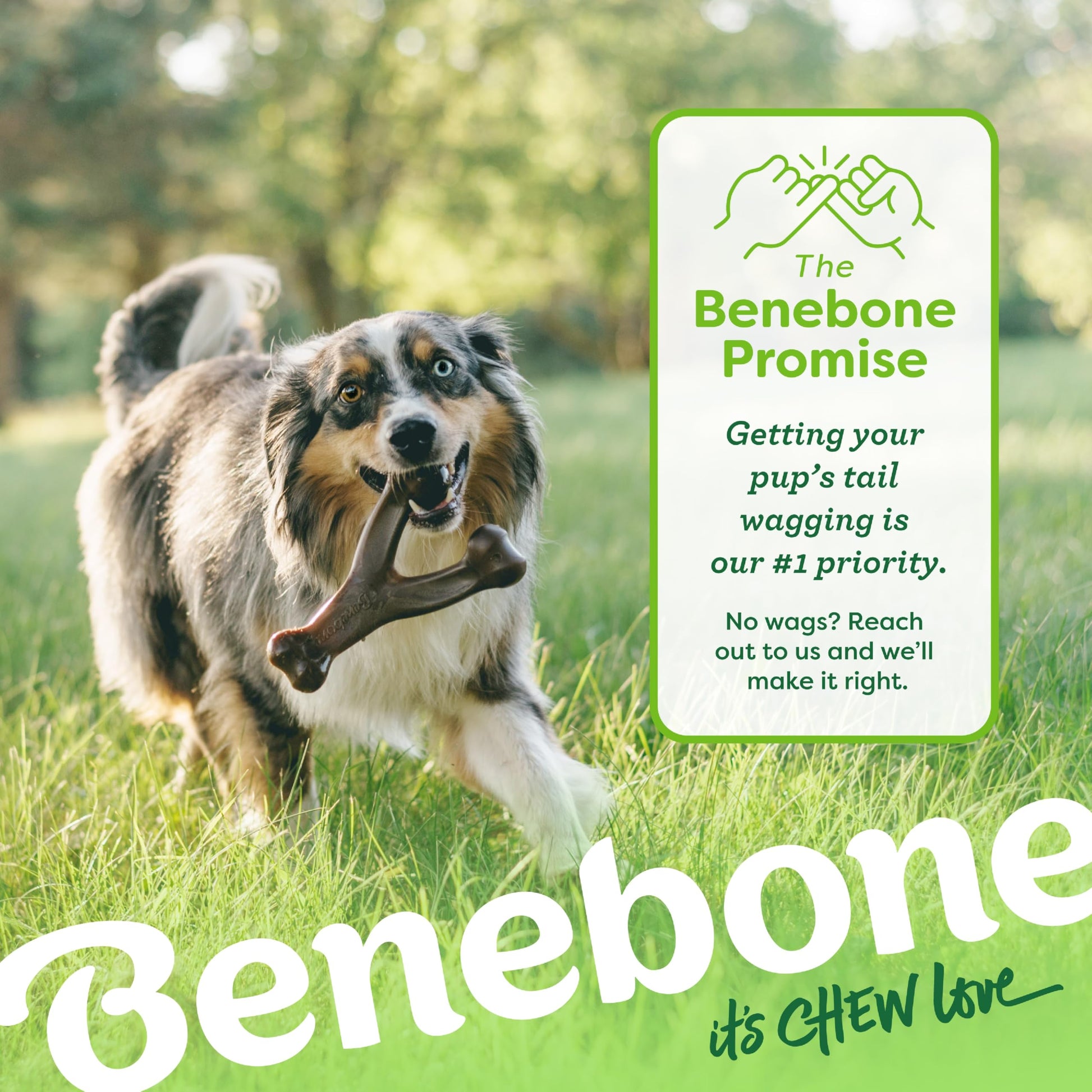 Benebone Medium 4-Pack Dog Chew Toys LukkyDeals