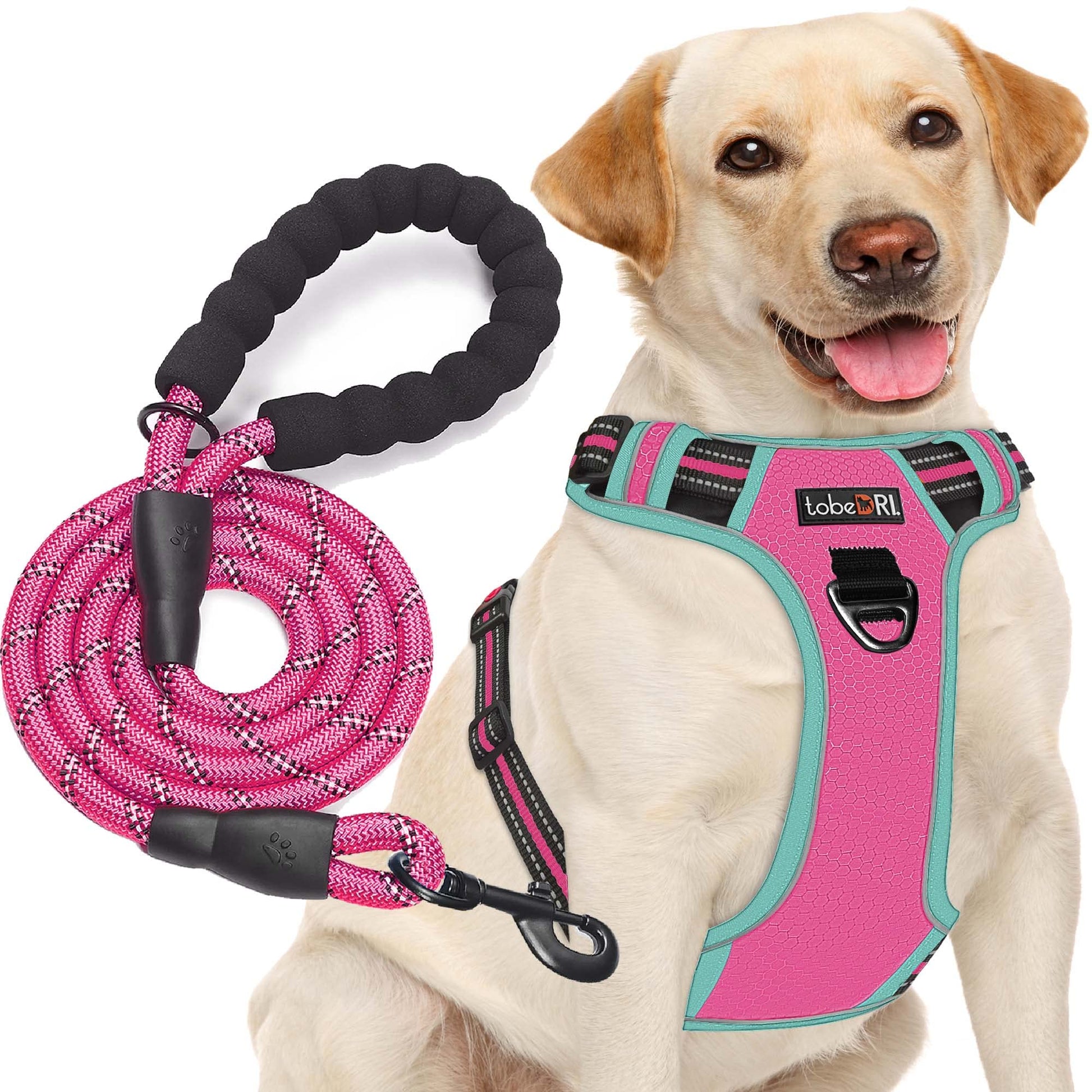 No Pull Dog Harness Adjustable Reflective Oxford Easy Control Medium Large Dog Harness with A Free Heavy Duty 5ft Dog Leash (L (Neck: 18"-25.5", Chest: 24.5"-33"), Blue Harness+Leash) LukkyDeals