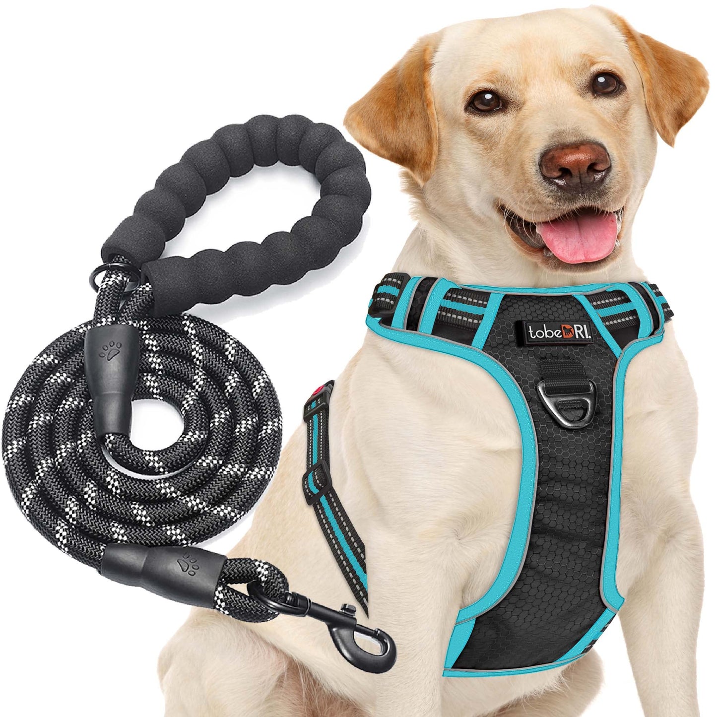 No Pull Dog Harness Adjustable Reflective Oxford Easy Control Medium Large Dog Harness with A Free Heavy Duty 5ft Dog Leash (L (Neck: 18"-25.5", Chest: 24.5"-33"), Blue Harness+Leash) LukkyDeals