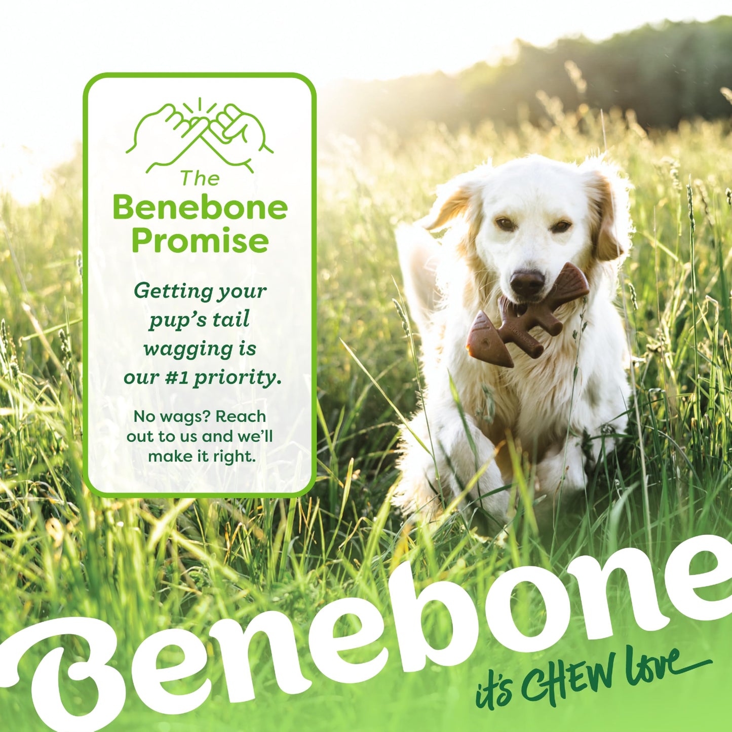 Benebone Medium 4-Pack Dog Chew Toys LukkyDeals