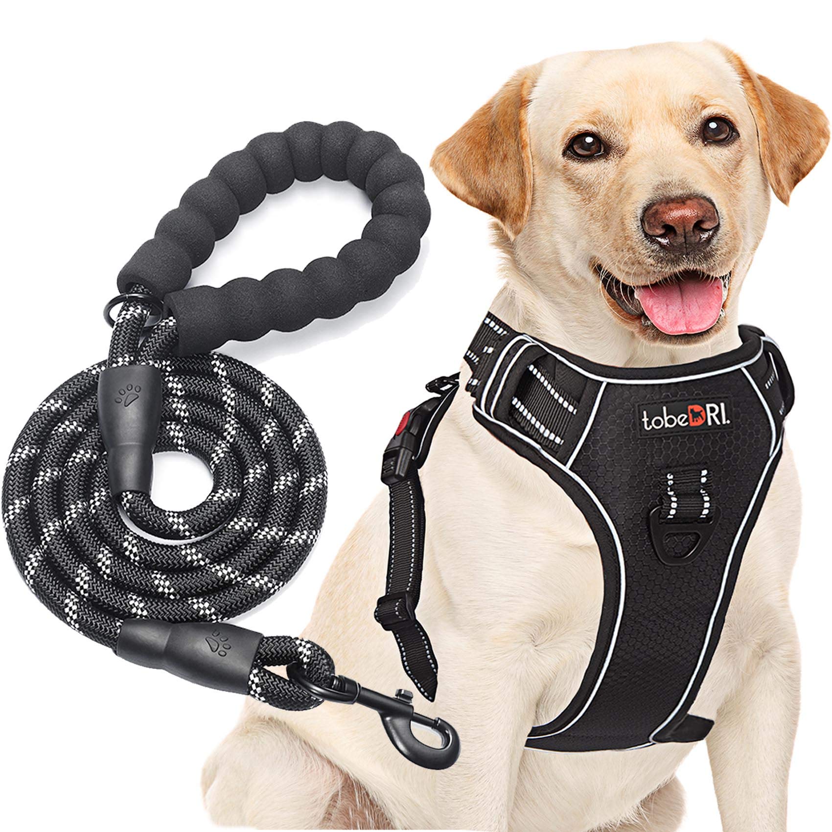 No Pull Dog Harness Adjustable Reflective Oxford Easy Control Medium Large Dog Harness with A Free Heavy Duty 5ft Dog Leash (L (Neck: 18"-25.5", Chest: 24.5"-33"), Blue Harness+Leash) LukkyDeals