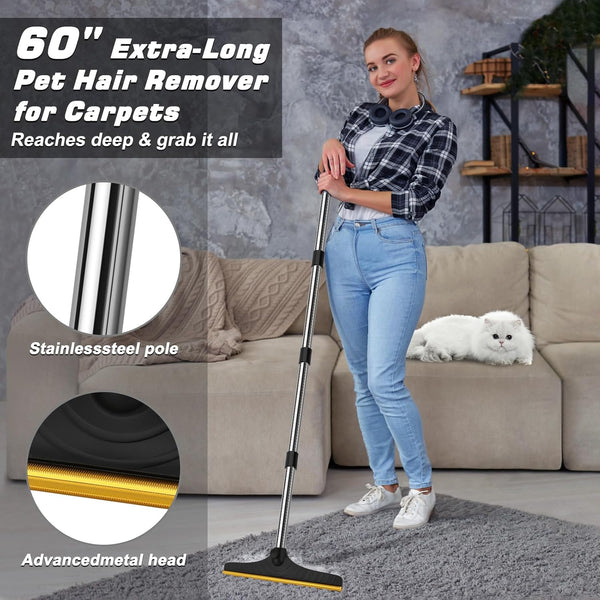 Easy Pet Hair Carpet Rake