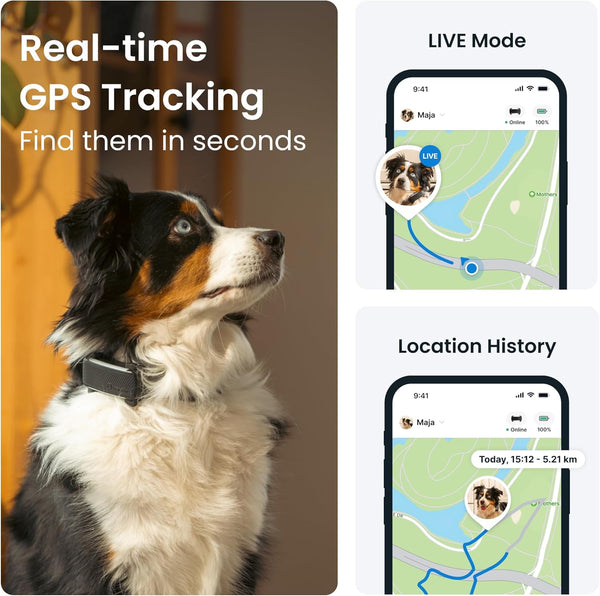 Tractive Pet Tracker for Dogs LukkyDeals