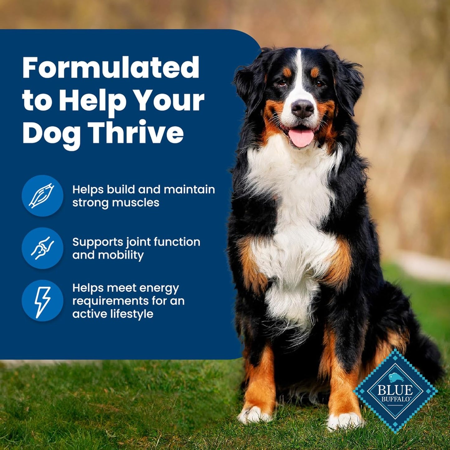 Healthy Paws Dog Food Delight LukkyDeals
