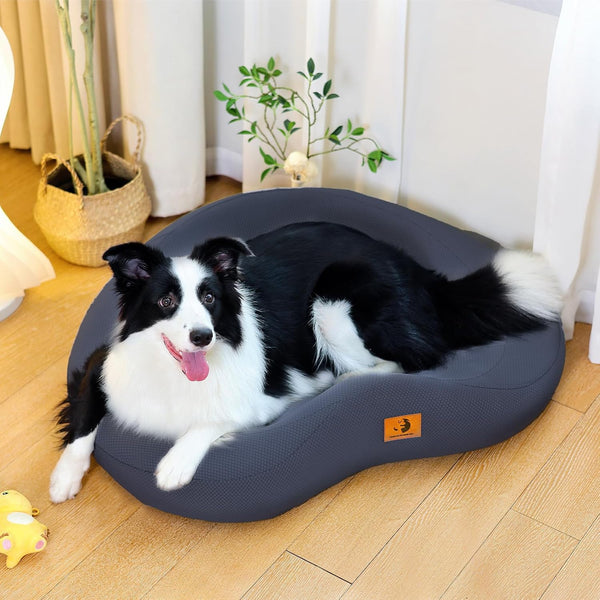 Orthopedic Memory Foam Dog Bed LukkyDeals