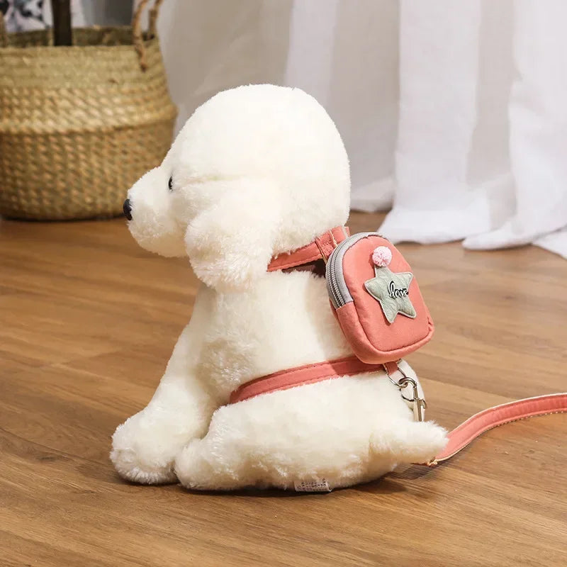 PawPack Leash & Backpack Combo LukkyDeals