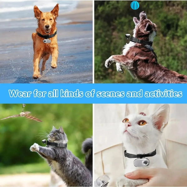 Pet Adventure Capture Collar LukkyDeals
