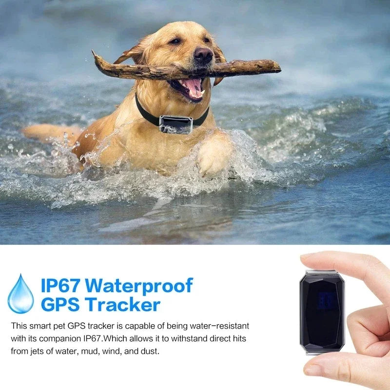 Smart Pet GPS Tracker Collar LukkyDeals