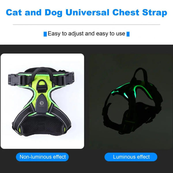 GlowBright Pet Safety Harness LukkyDeals