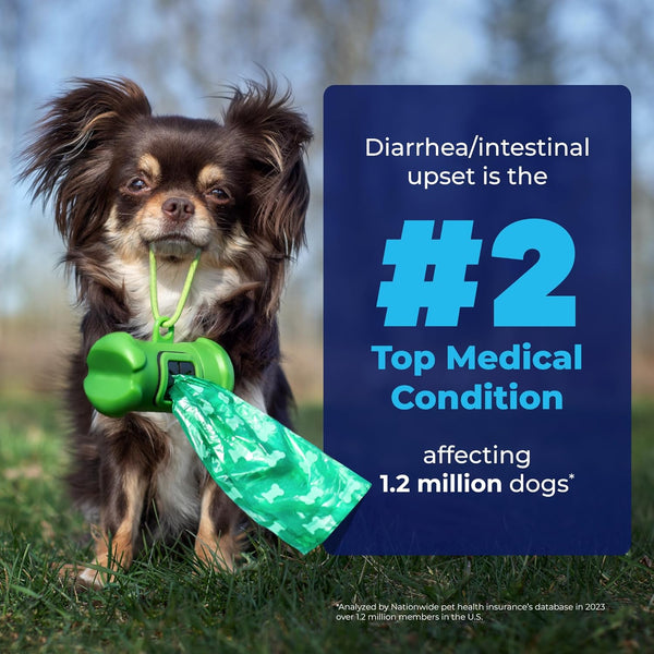 Scoot-Free Doggy Chews