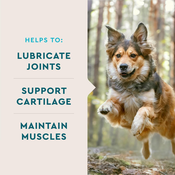Dog Joy Hip & Joint Treats LukkyDeals